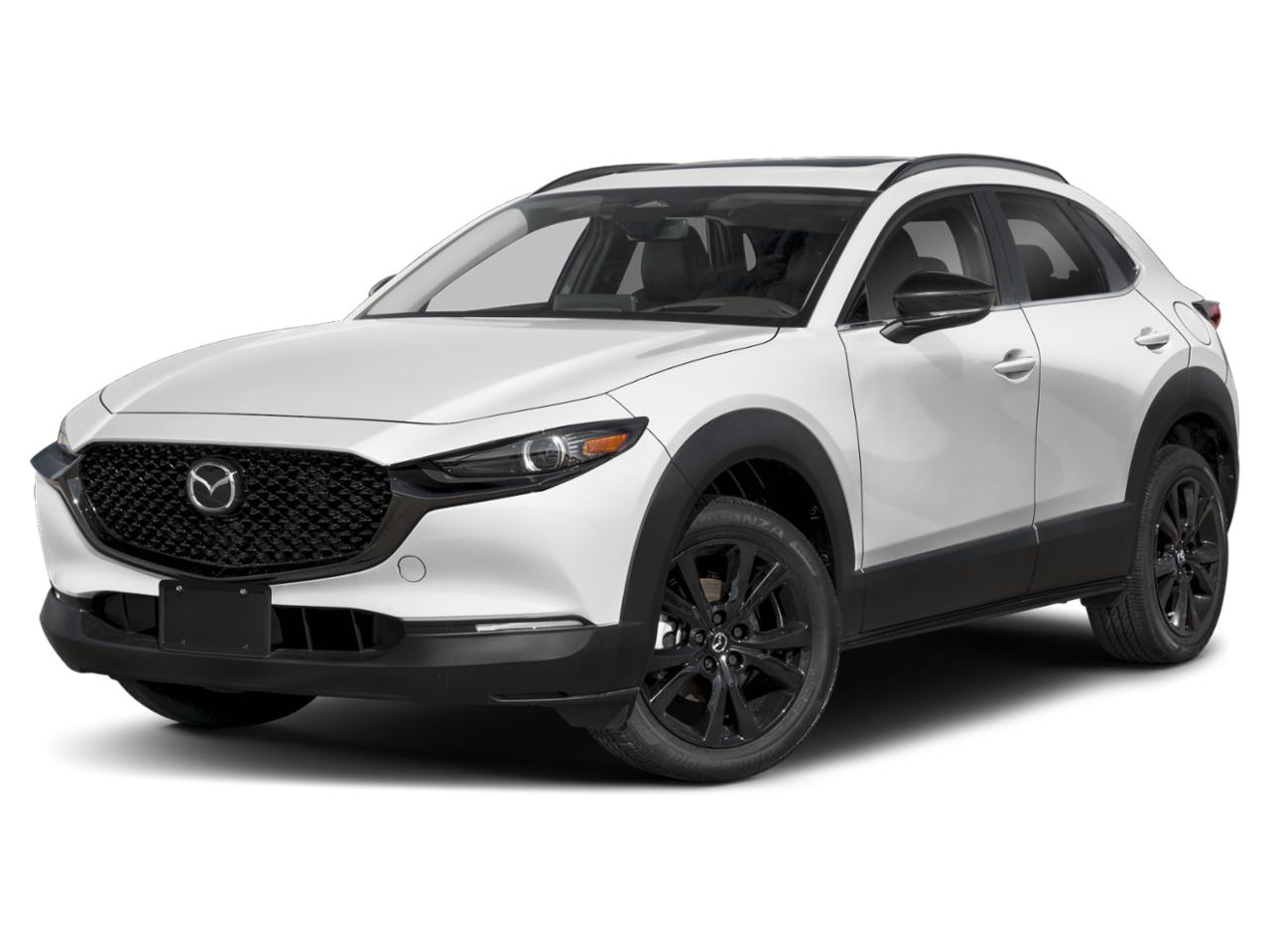 2025 Mazda CX-30 Vehicle Photo in Appleton, WI 54913