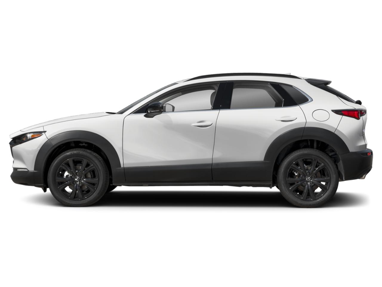 2025 Mazda CX-30 Vehicle Photo in Appleton, WI 54913