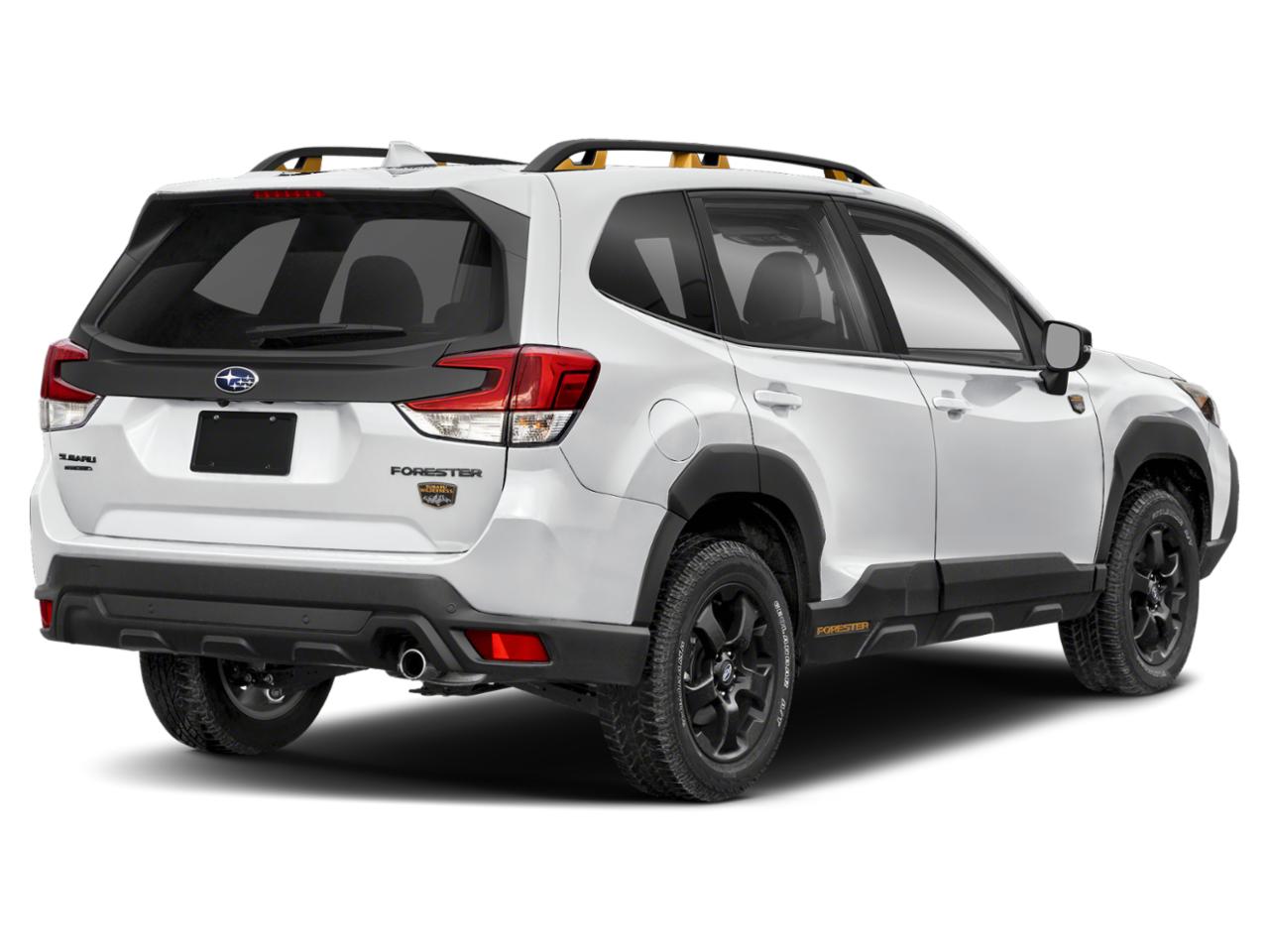 2025 Subaru Forester Vehicle Photo in Doylestown, PA 18902