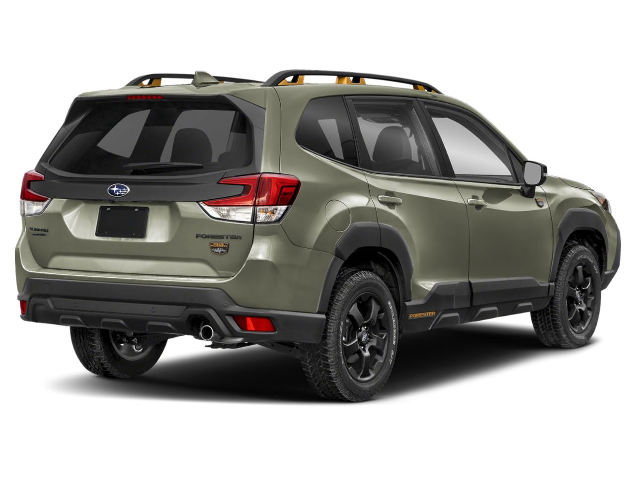 2025 Subaru Forester Vehicle Photo in Doylestown, PA 18902