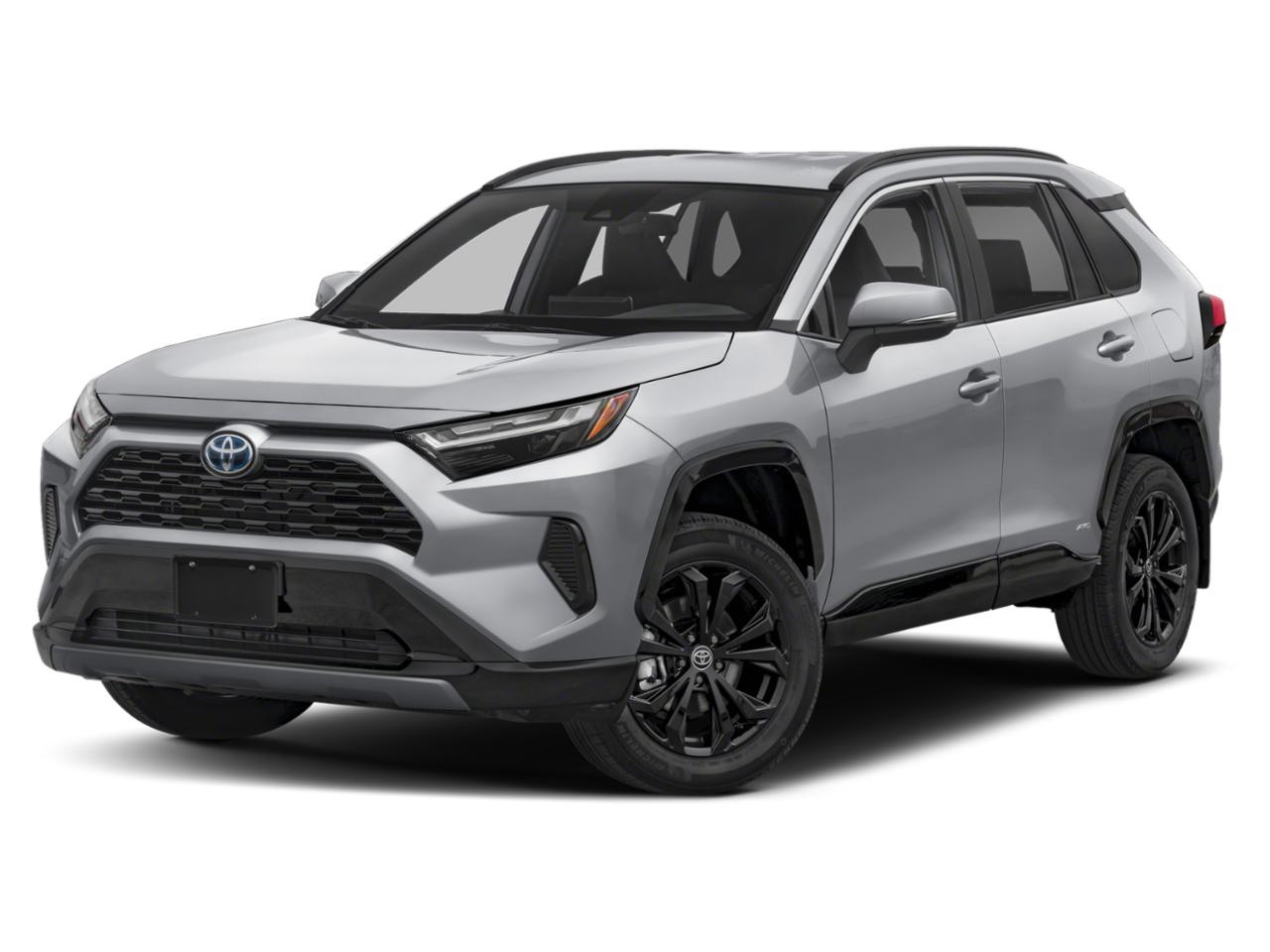 2025 Toyota RAV4 Vehicle Photo in Pinellas Park , FL 33781