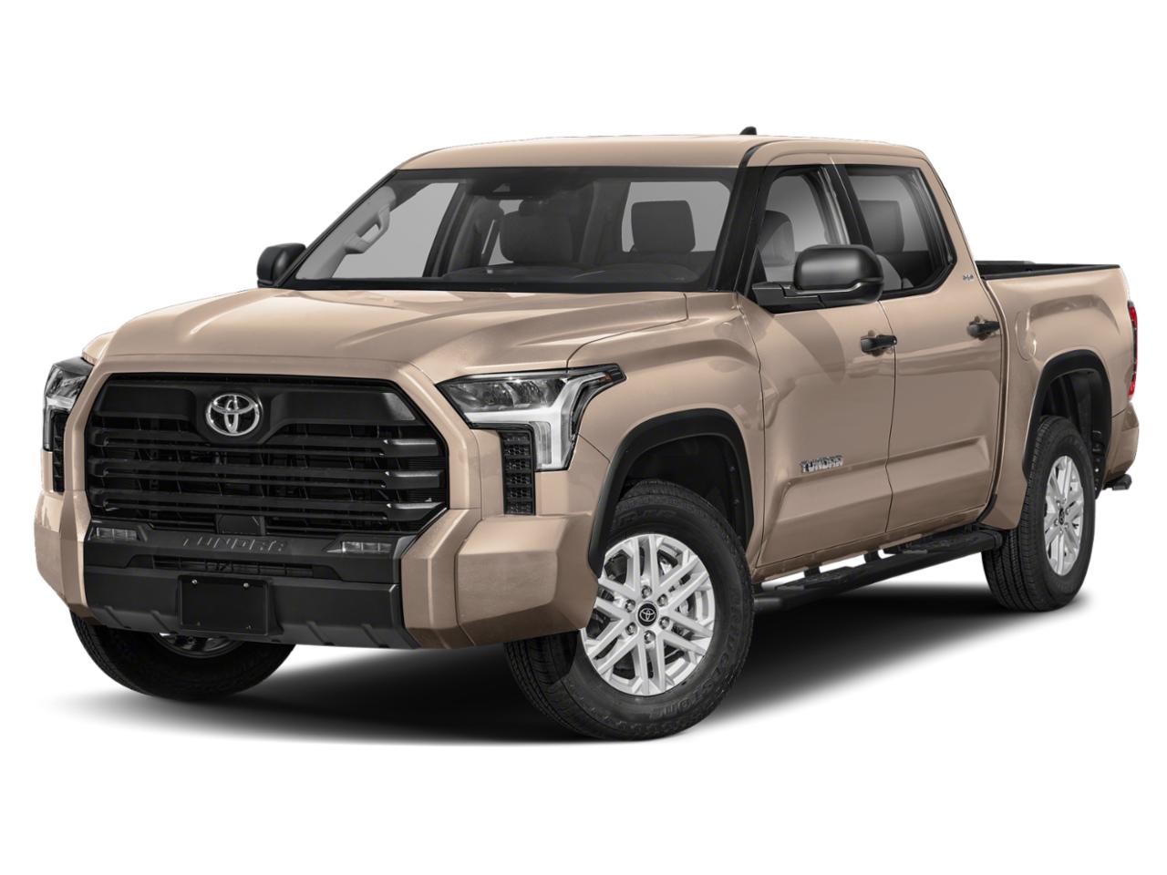 2026 Toyota Tundra 4WD Vehicle Photo in Pinellas Park , FL 33781