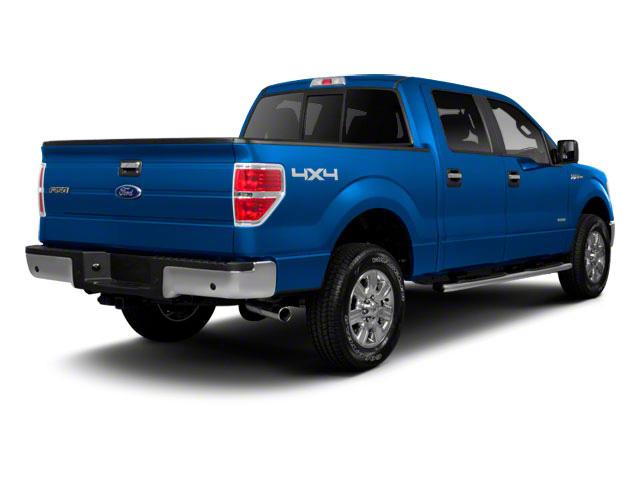 2012 Ford F-150 Vehicle Photo in SELMA, TX 78154-1459