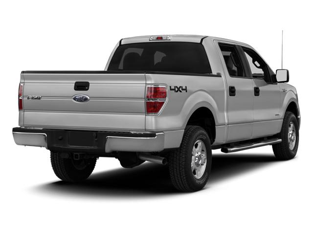 2013 Ford F-150 Vehicle Photo in Hinesville, GA 31313