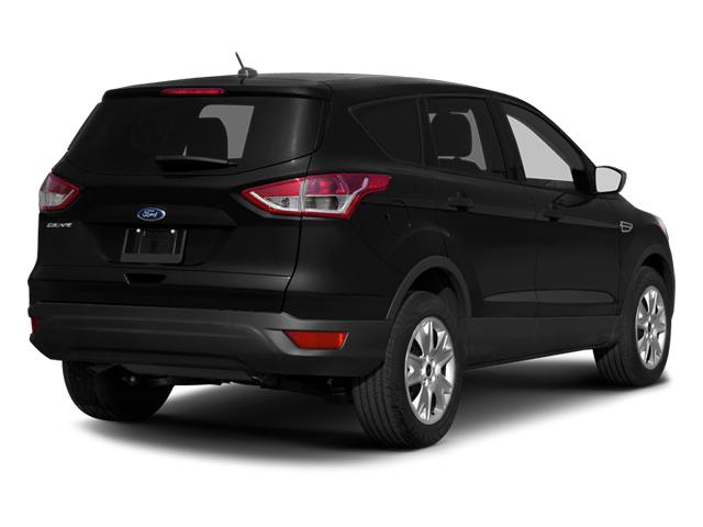 2014 Ford Escape Vehicle Photo in Harrisburg, PA 17111