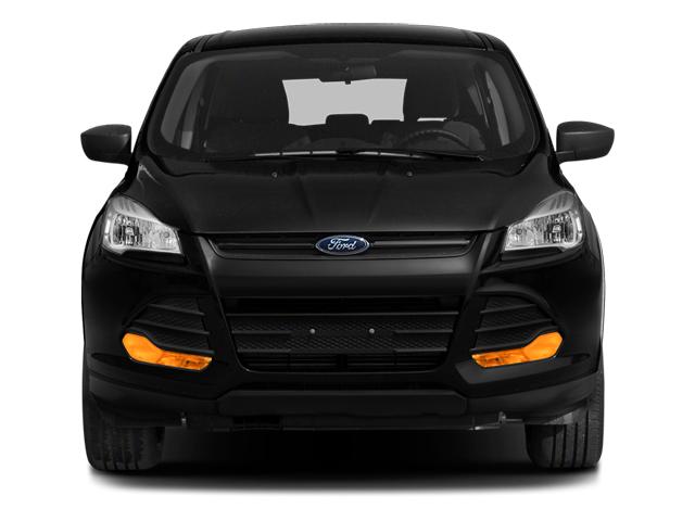 2014 Ford Escape Vehicle Photo in Harrisburg, PA 17111
