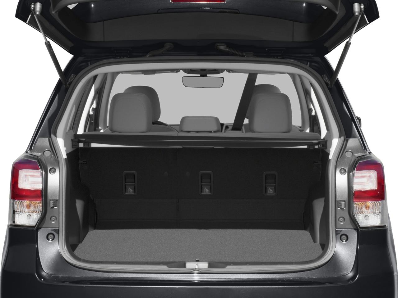 2017 Subaru Forester Vehicle Photo in Mechanicsburg, PA 17050