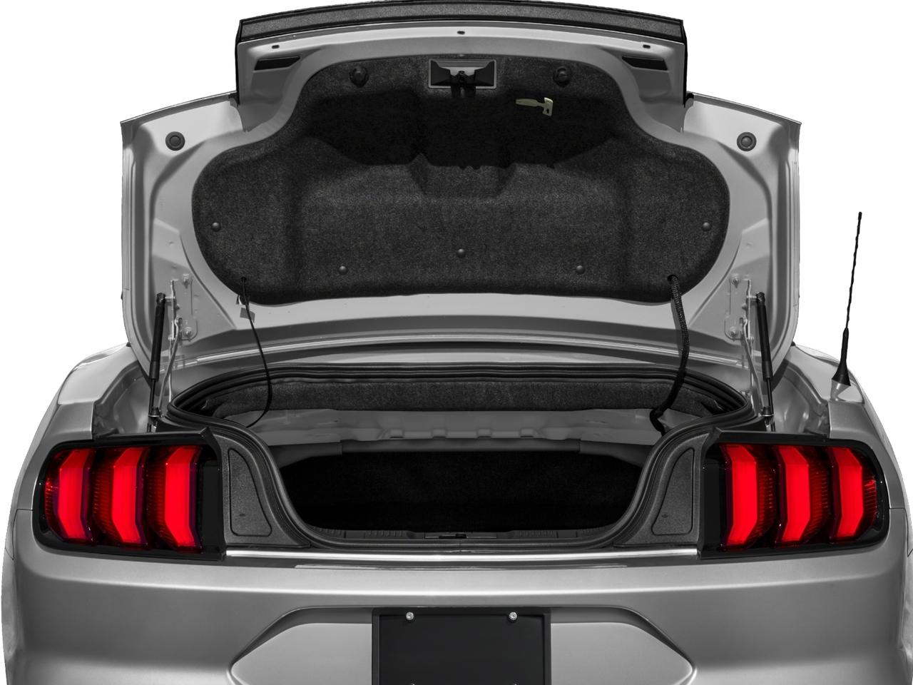 2018 Ford Mustang Vehicle Photo in Brunswick, GA 31525