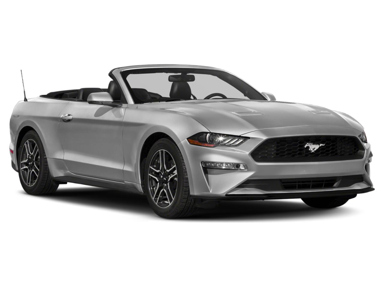 2018 Ford Mustang Vehicle Photo in Brunswick, GA 31525