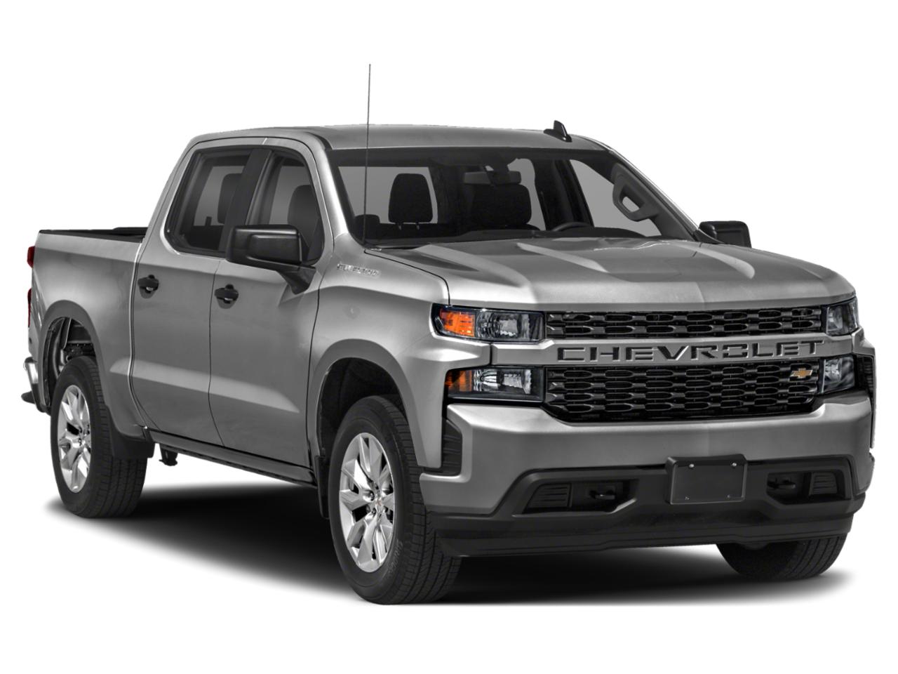 2019 Chevrolet Silverado 1500 Vehicle Photo in BEAUFORT, SC 29906-4218