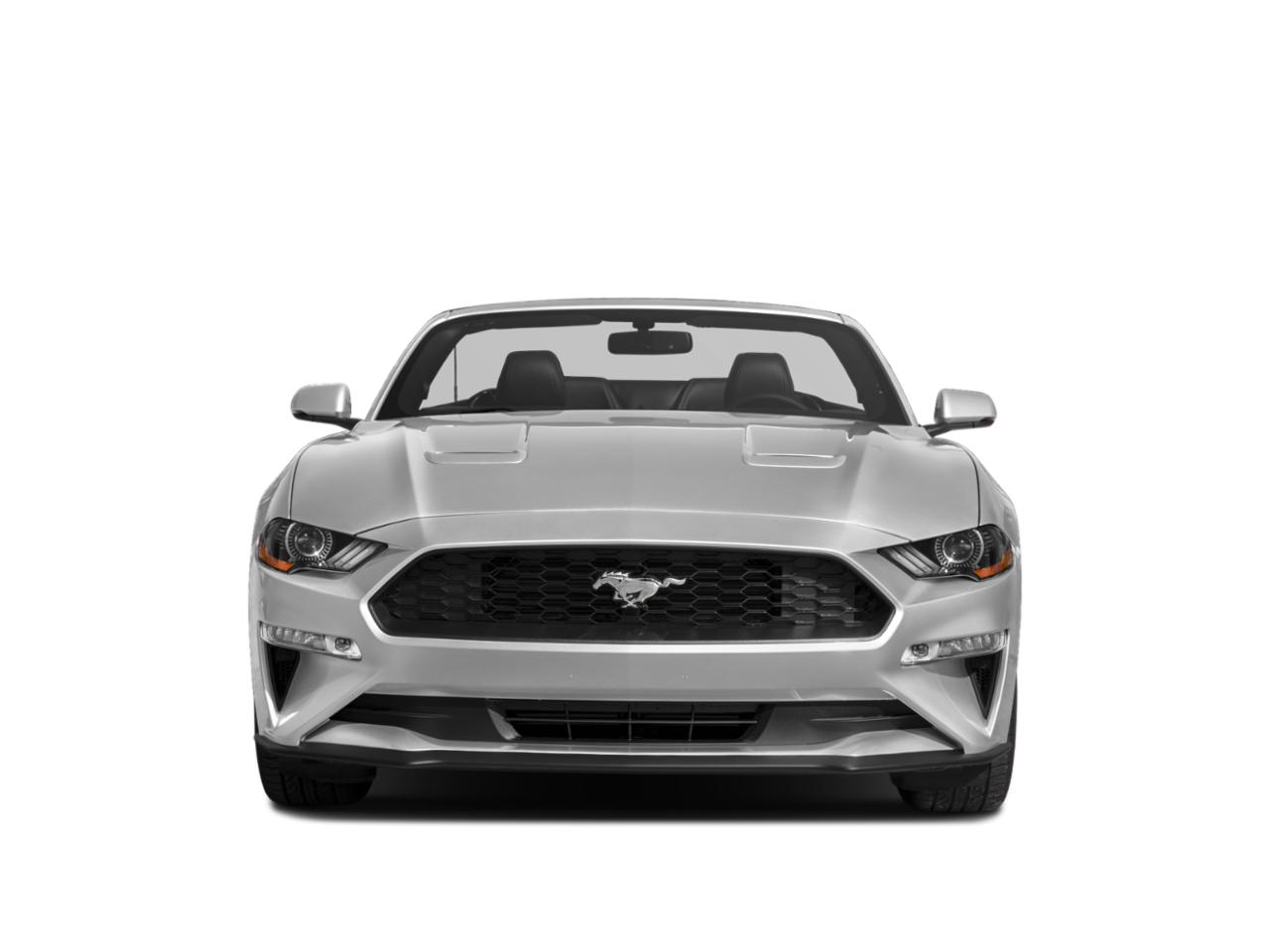 2019 Ford Mustang Vehicle Photo in BRUNSWICK, GA 31525-1881