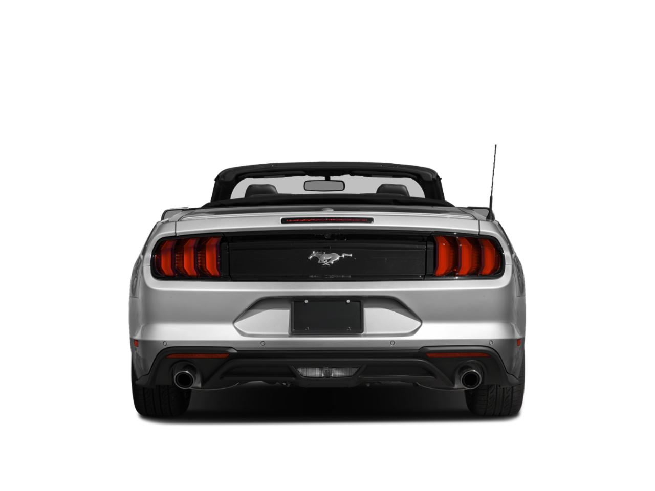 2019 Ford Mustang Vehicle Photo in BRUNSWICK, GA 31525-1881