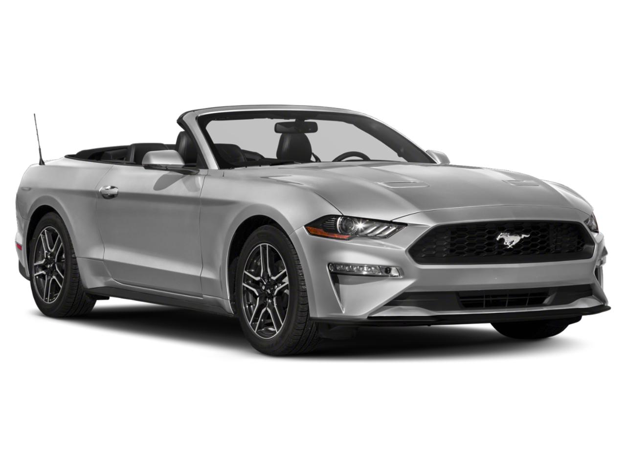 2019 Ford Mustang Vehicle Photo in BRUNSWICK, GA 31525-1881
