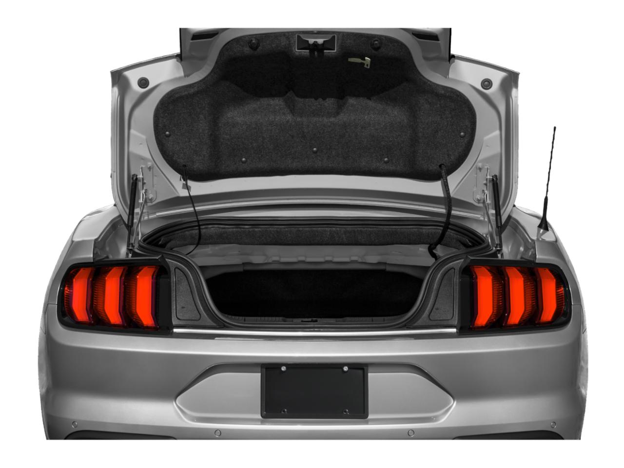 2019 Ford Mustang Vehicle Photo in BRUNSWICK, GA 31525-1881