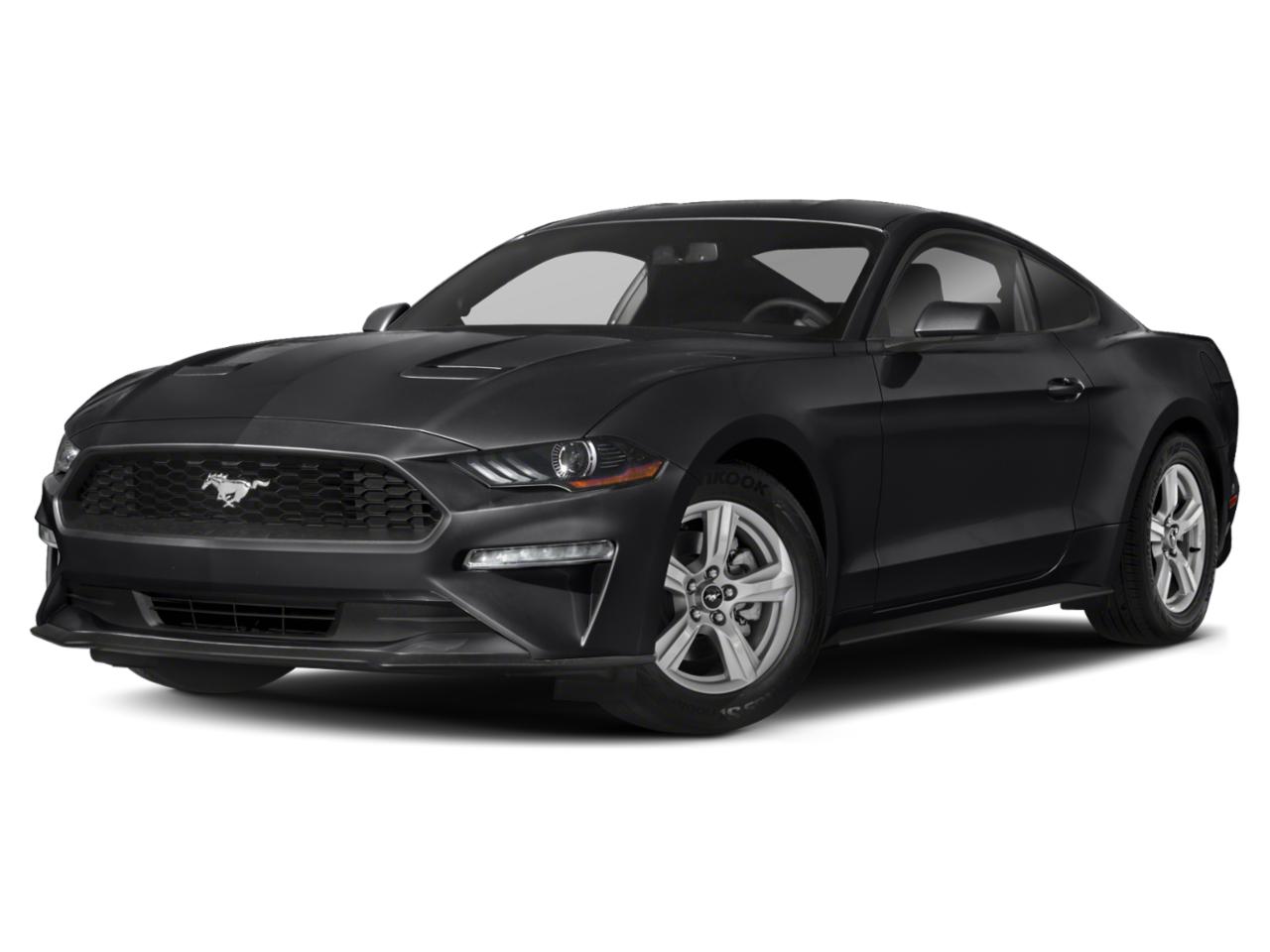 2019 Ford Mustang Vehicle Photo in SELMA, TX 78154-1459