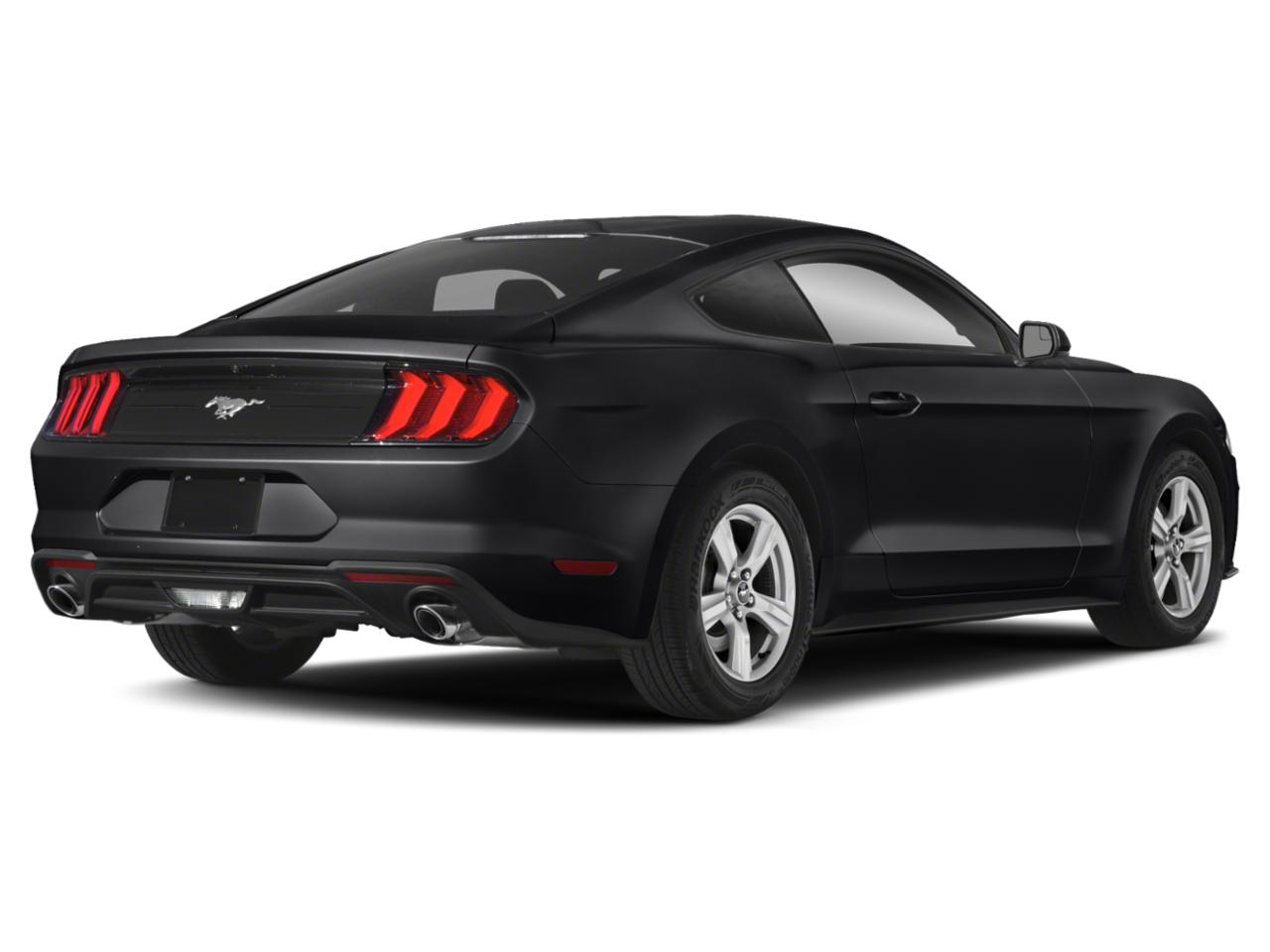 2019 Ford Mustang Vehicle Photo in SELMA, TX 78154-1459
