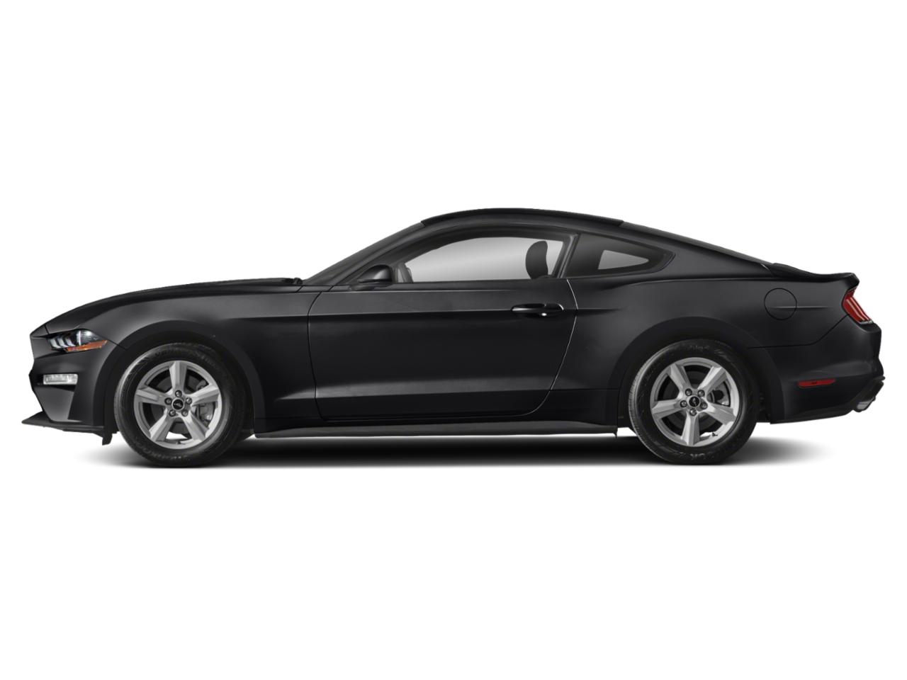 2019 Ford Mustang Vehicle Photo in SELMA, TX 78154-1459