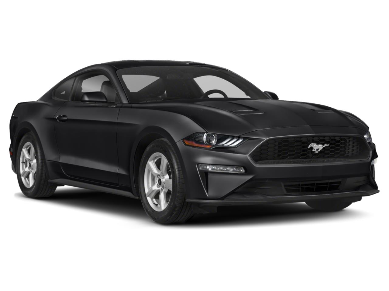 2019 Ford Mustang Vehicle Photo in SELMA, TX 78154-1459