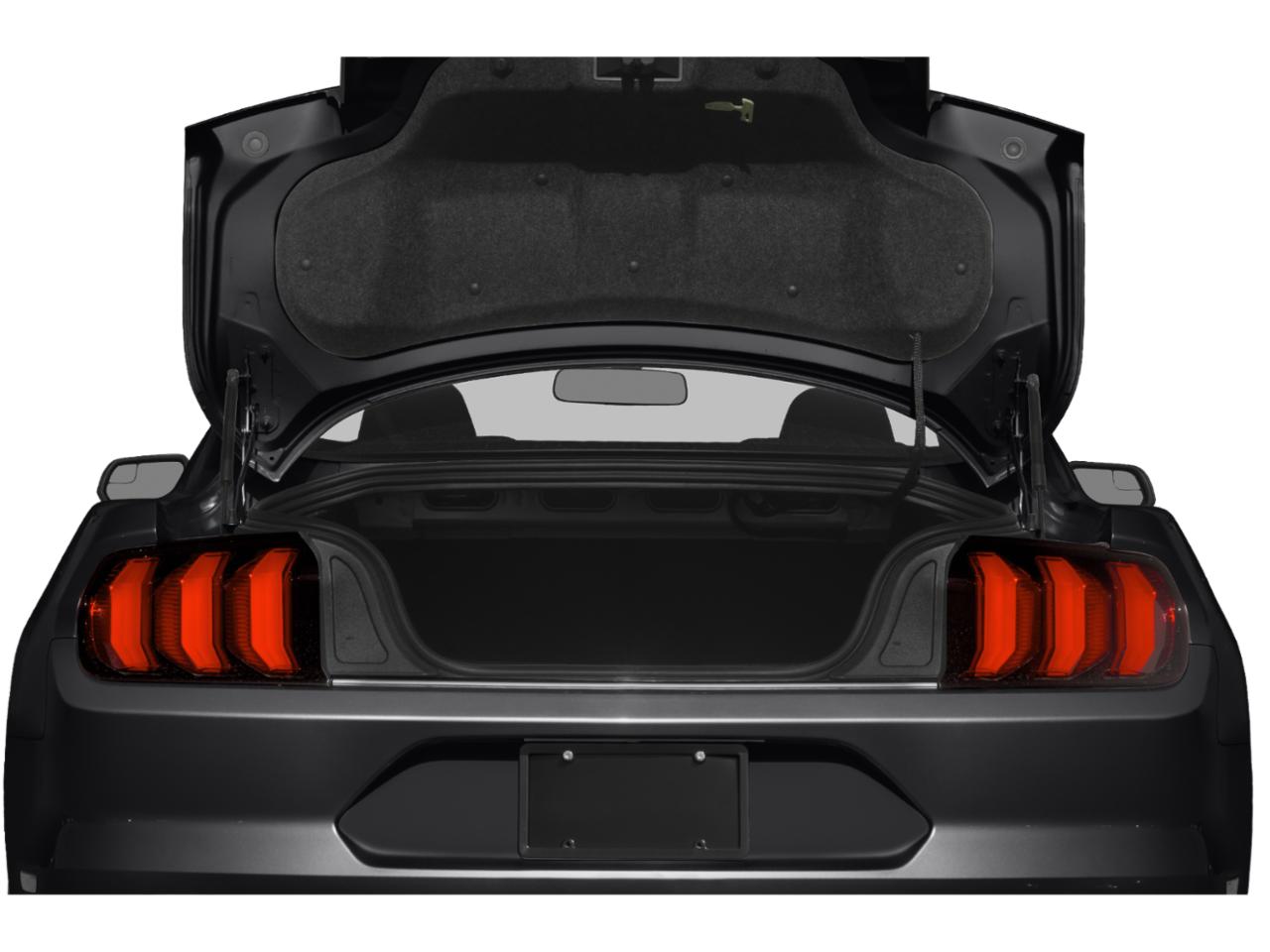 2019 Ford Mustang Vehicle Photo in SELMA, TX 78154-1459