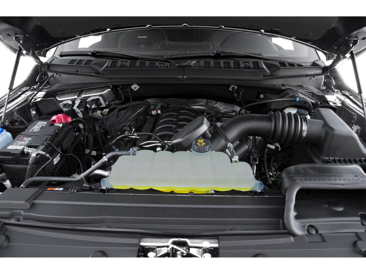 2019 Ford F-150 Vehicle Photo in San Antonio, TX 78238