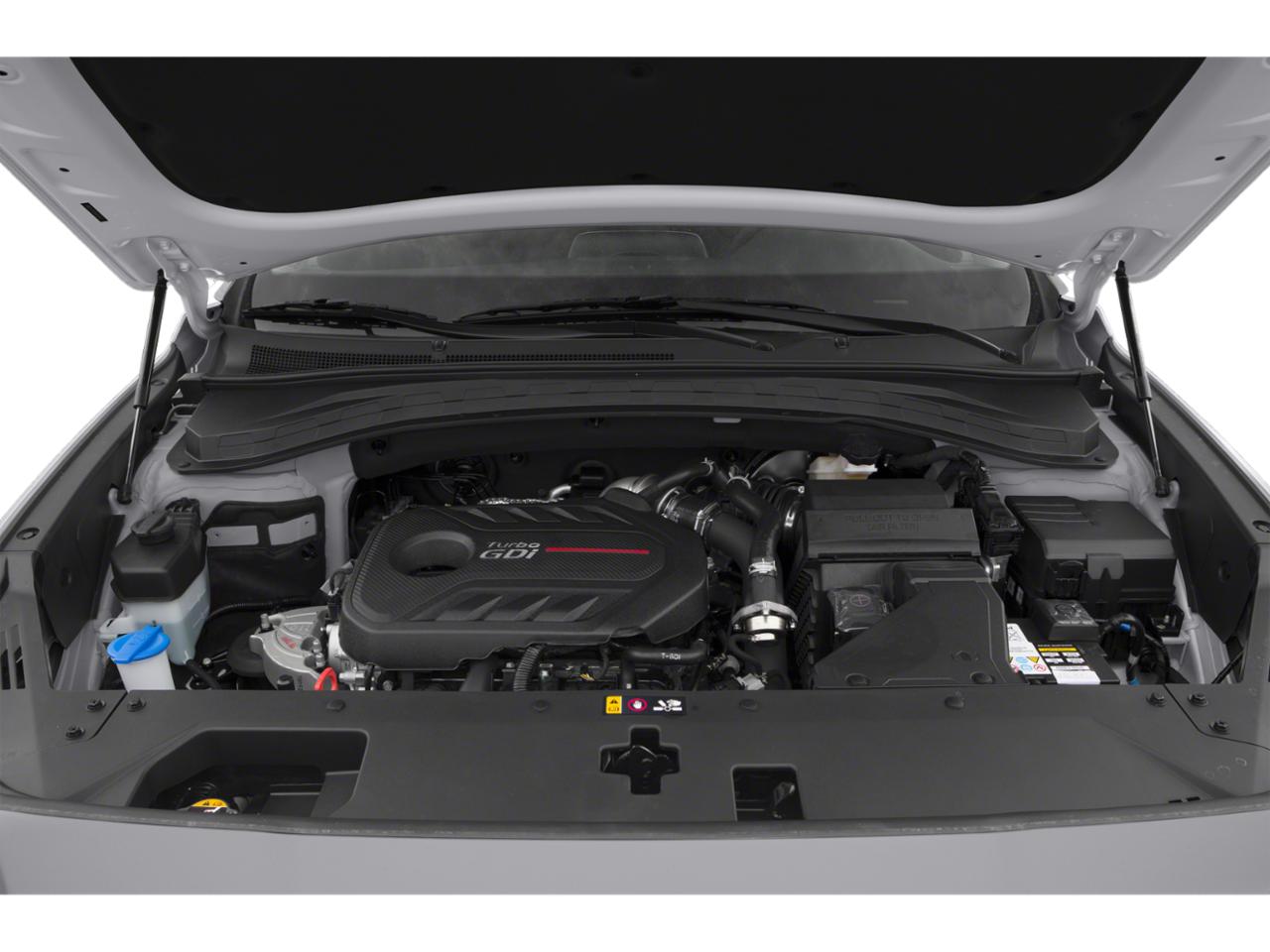 2019 Hyundai SANTA FE Vehicle Photo in BRUNSWICK, GA 31525-1881