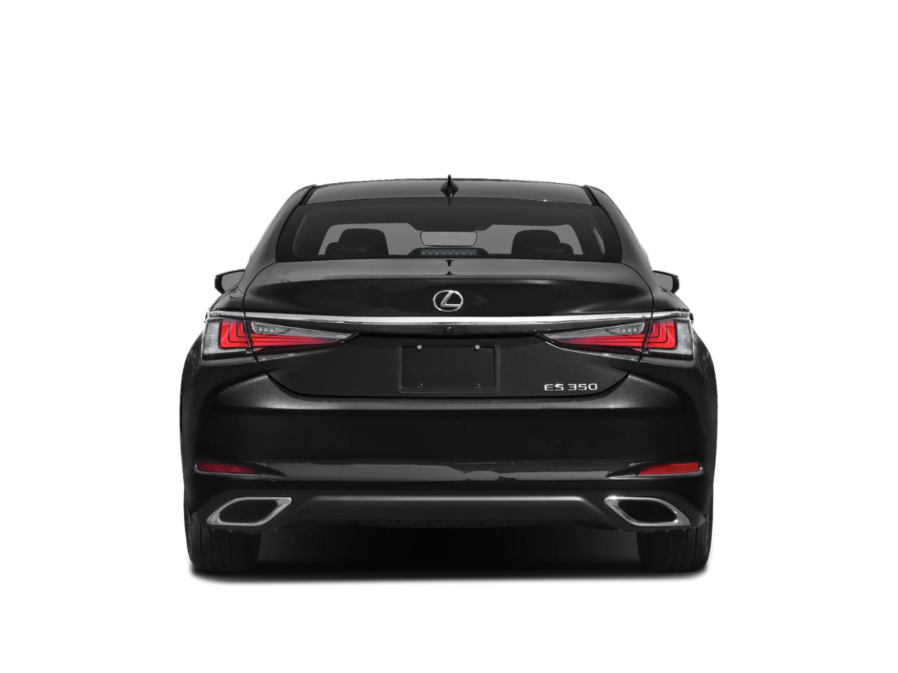 2019 Lexus ES 350 Vehicle Photo in Harrisburg, PA 17111
