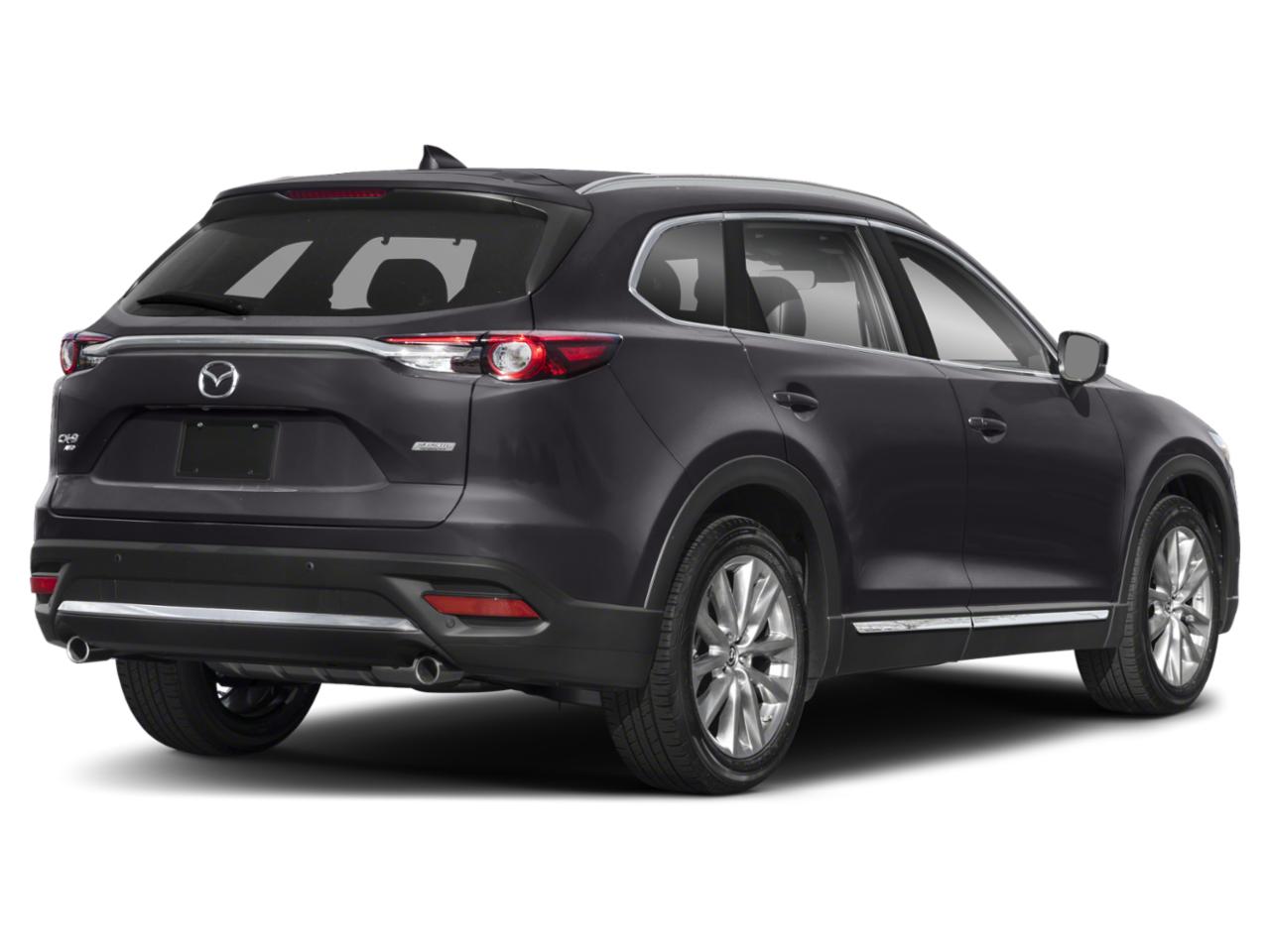 2019 Mazda CX-9 Vehicle Photo in Harrisburg, PA 17111