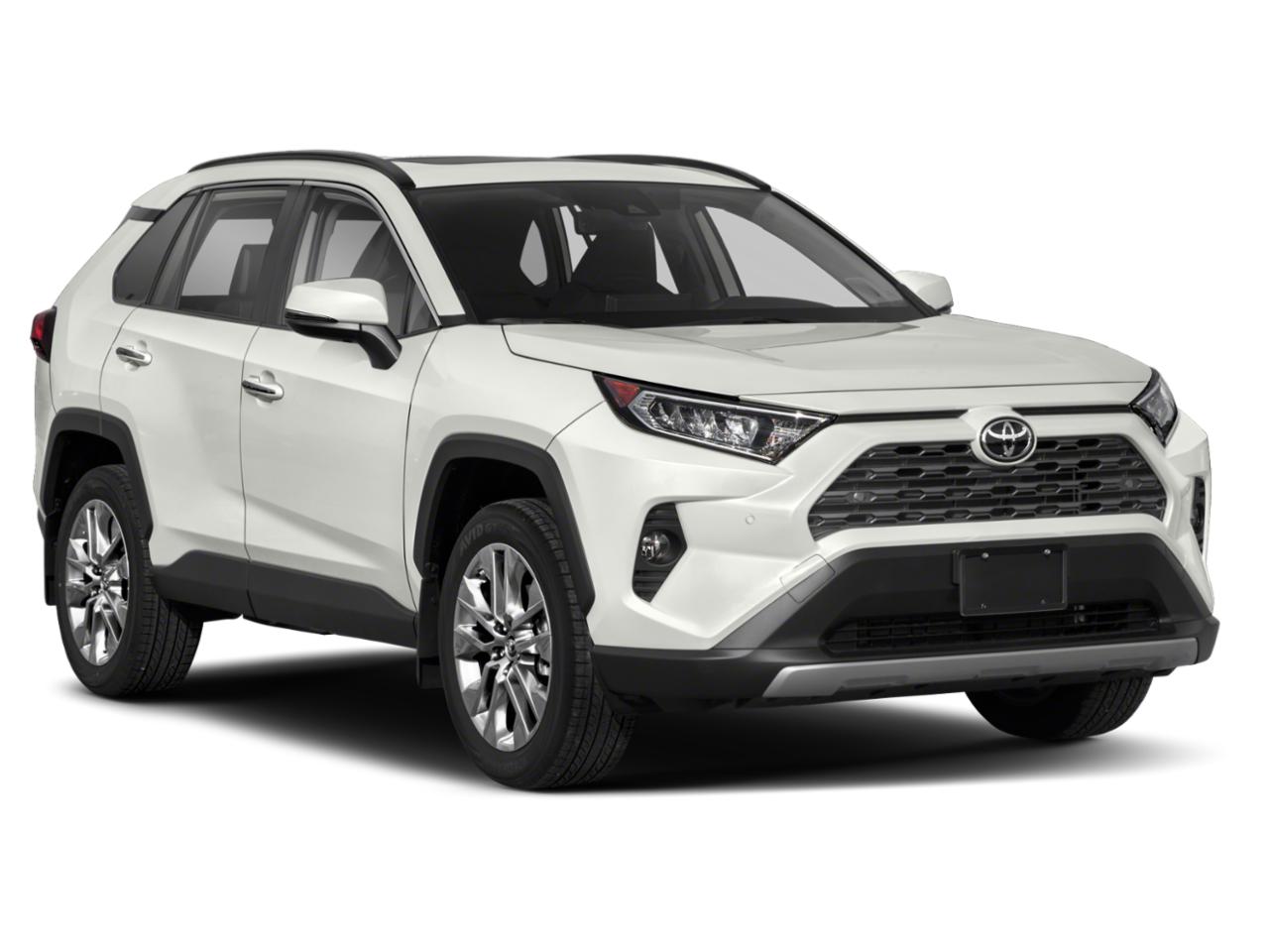 2019 Toyota RAV4 Vehicle Photo in Akron, OH 44312