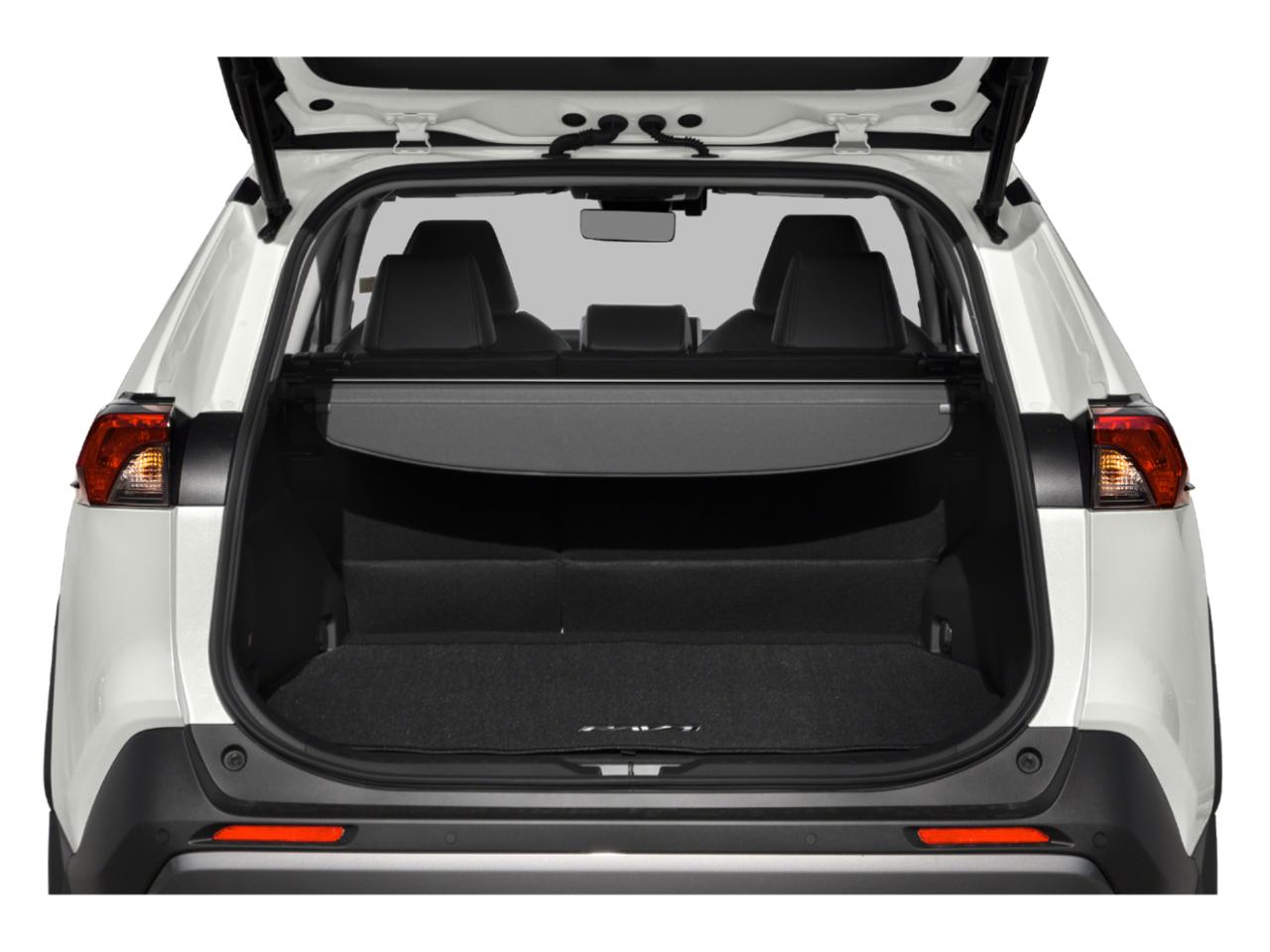 2019 Toyota RAV4 Vehicle Photo in Akron, OH 44312