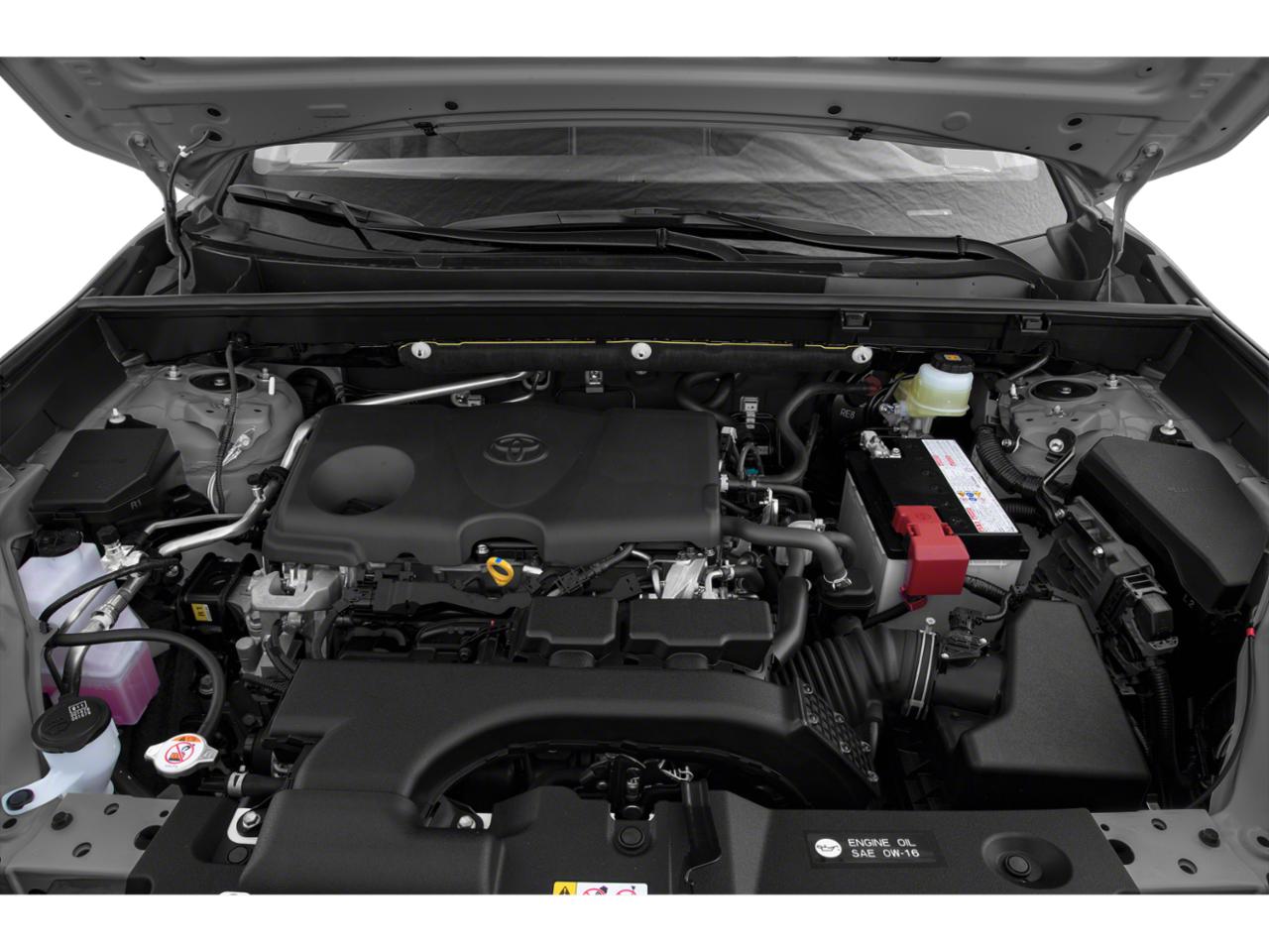 2019 Toyota RAV4 Vehicle Photo in Akron, OH 44312