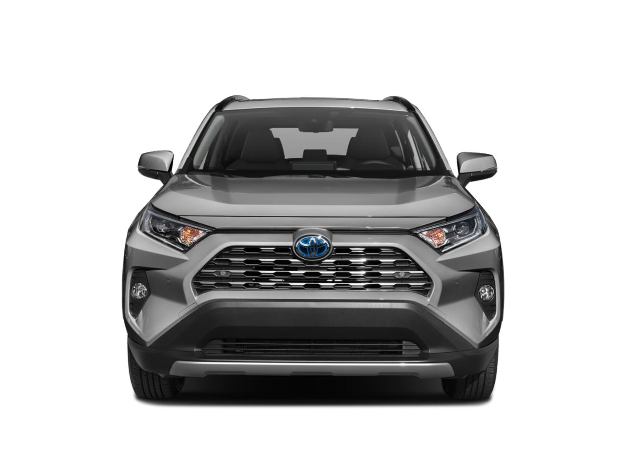 2019 Toyota RAV4 Vehicle Photo in Flemington, NJ 08822
