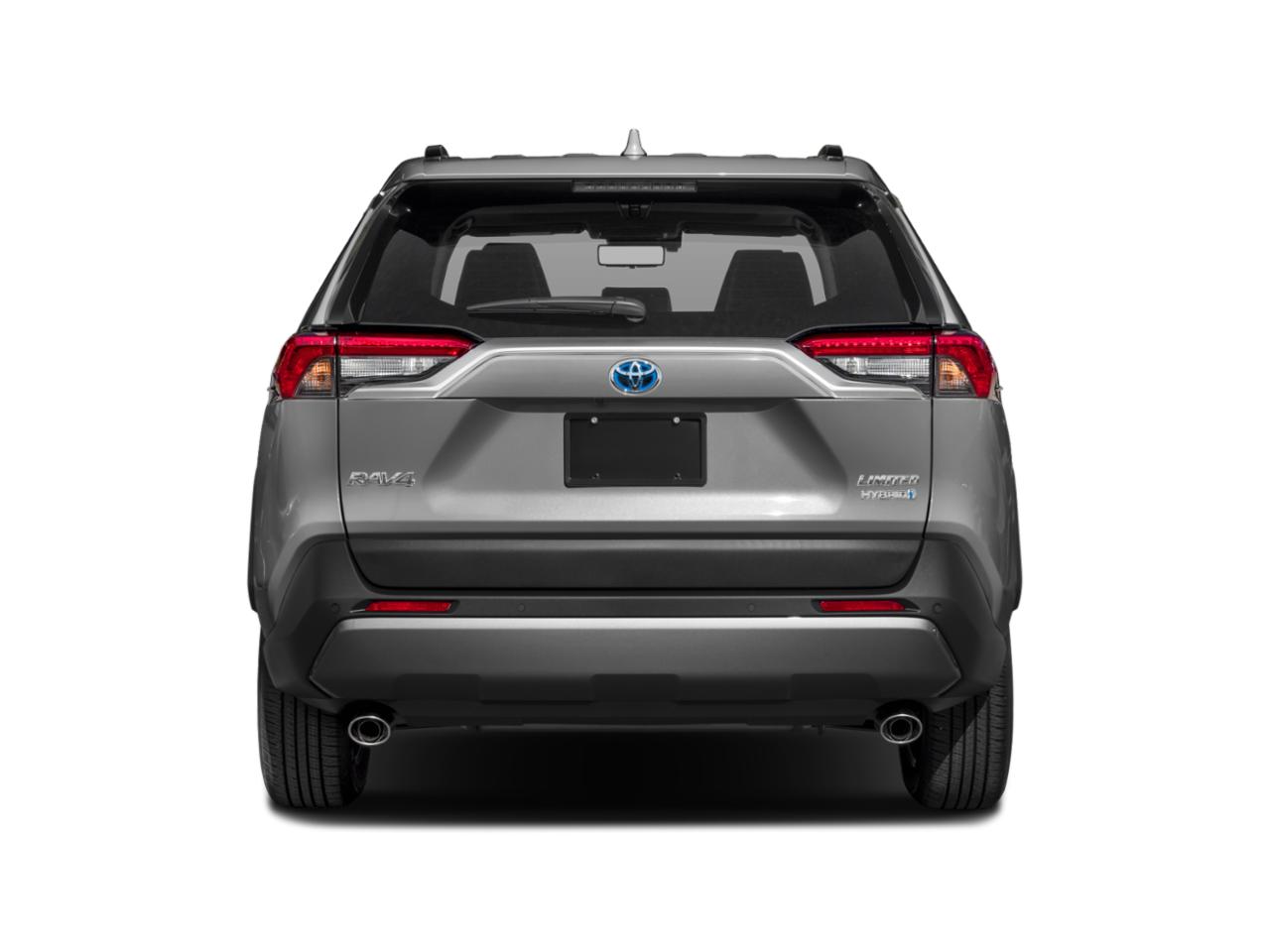 2019 Toyota RAV4 Vehicle Photo in Flemington, NJ 08822