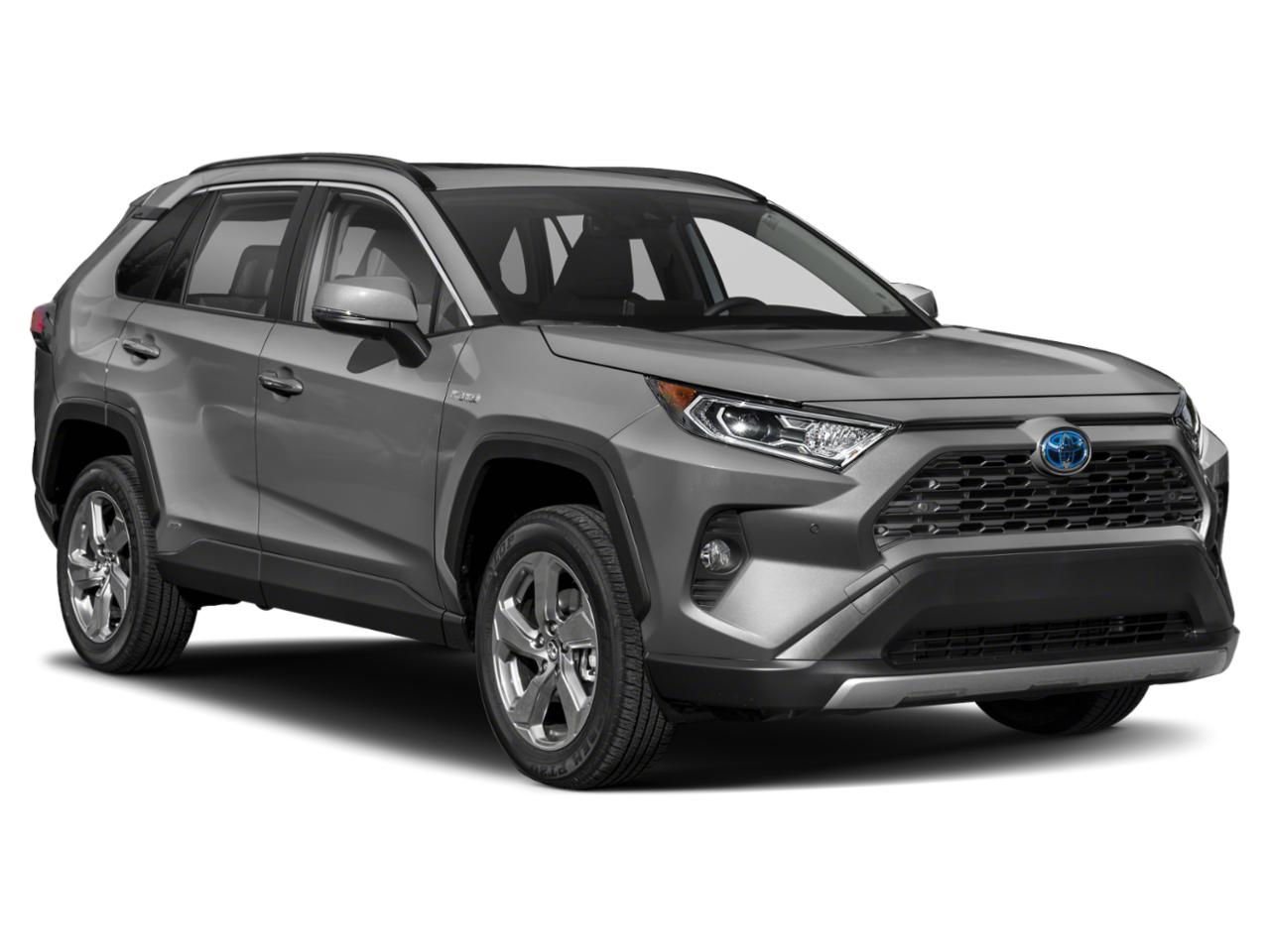 2019 Toyota RAV4 Vehicle Photo in Flemington, NJ 08822