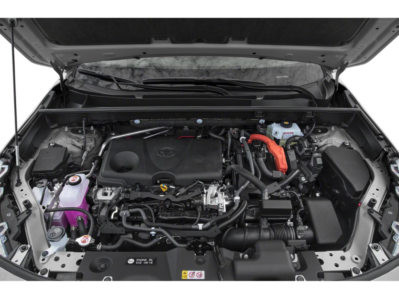 2019 Toyota RAV4 Vehicle Photo in Flemington, NJ 08822