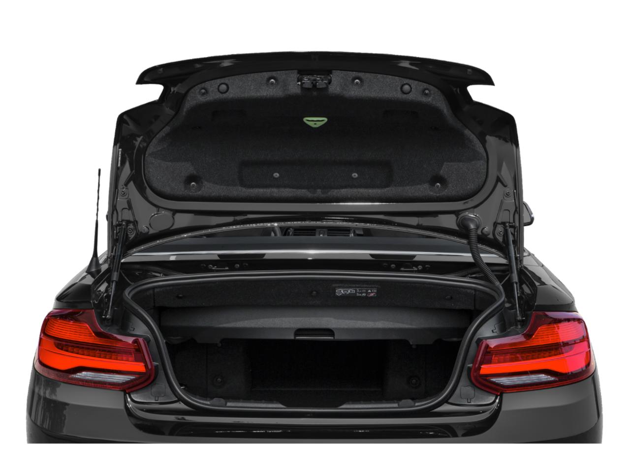 2020 BMW 230i xDrive Vehicle Photo in Flemington, NJ 08822