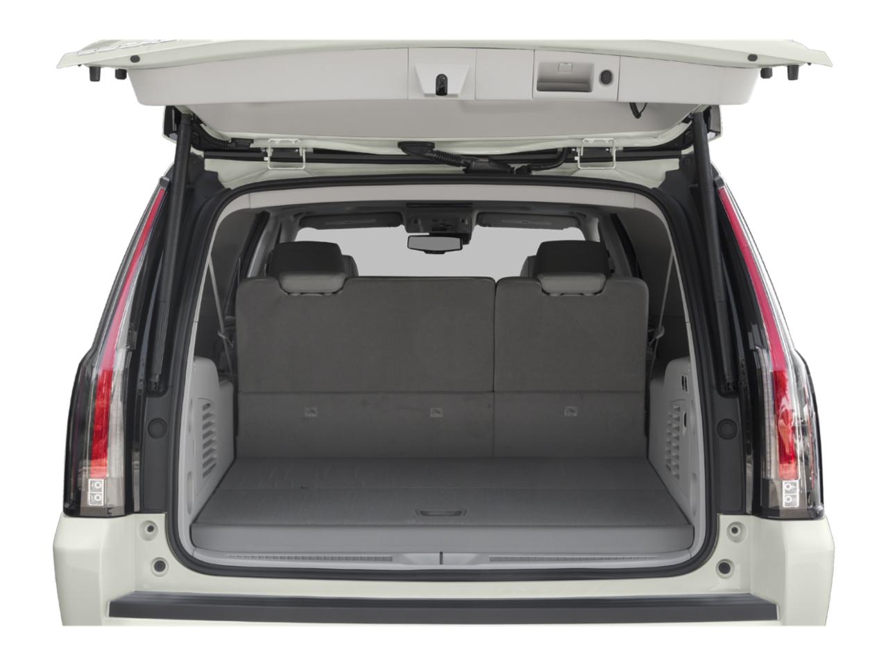 2020 Cadillac Escalade ESV Vehicle Photo in Denton, TX 76205