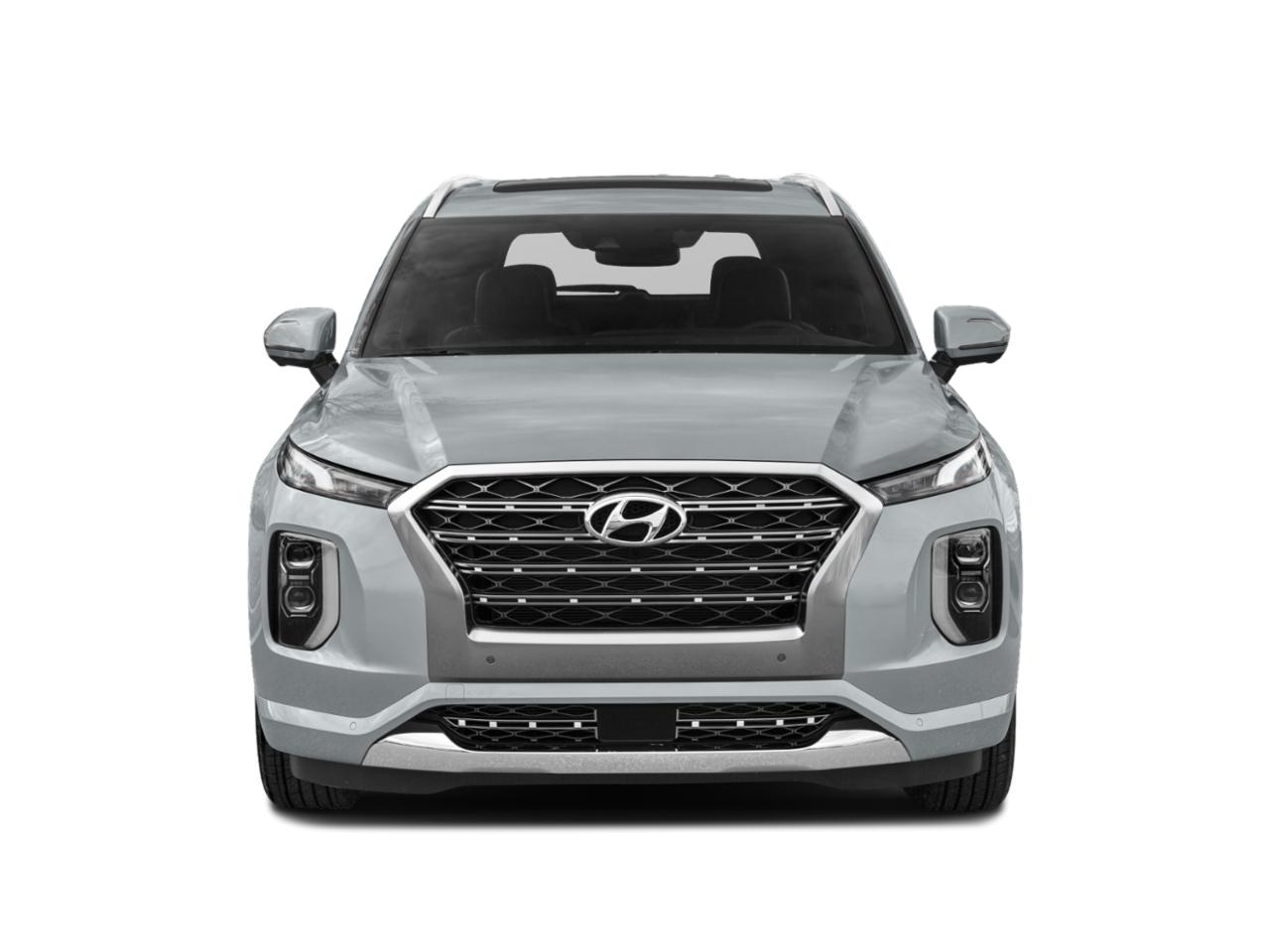 2020 Hyundai PALISADE Vehicle Photo in Brunswick, GA 31525