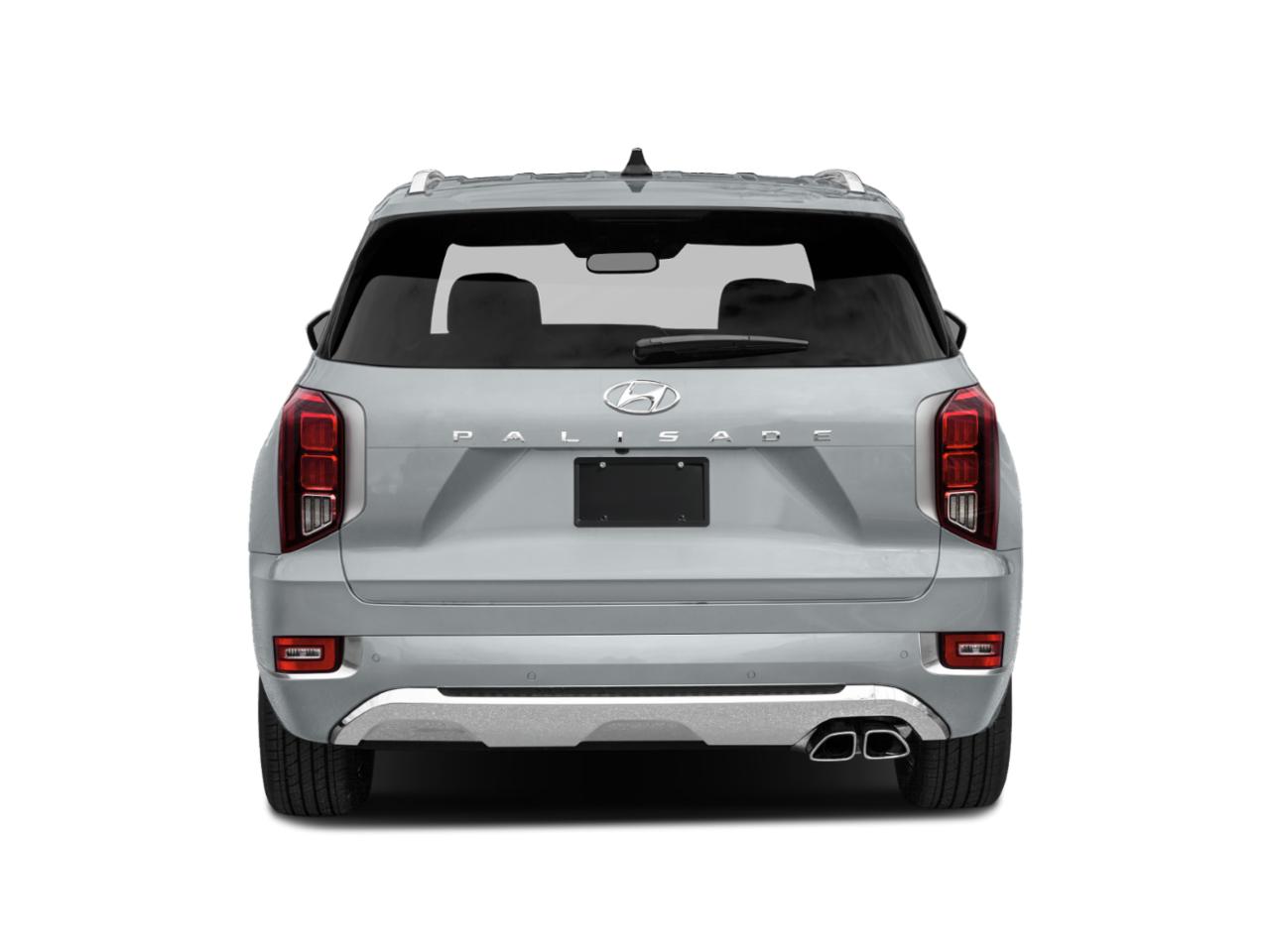 2020 Hyundai PALISADE Vehicle Photo in Brunswick, GA 31525