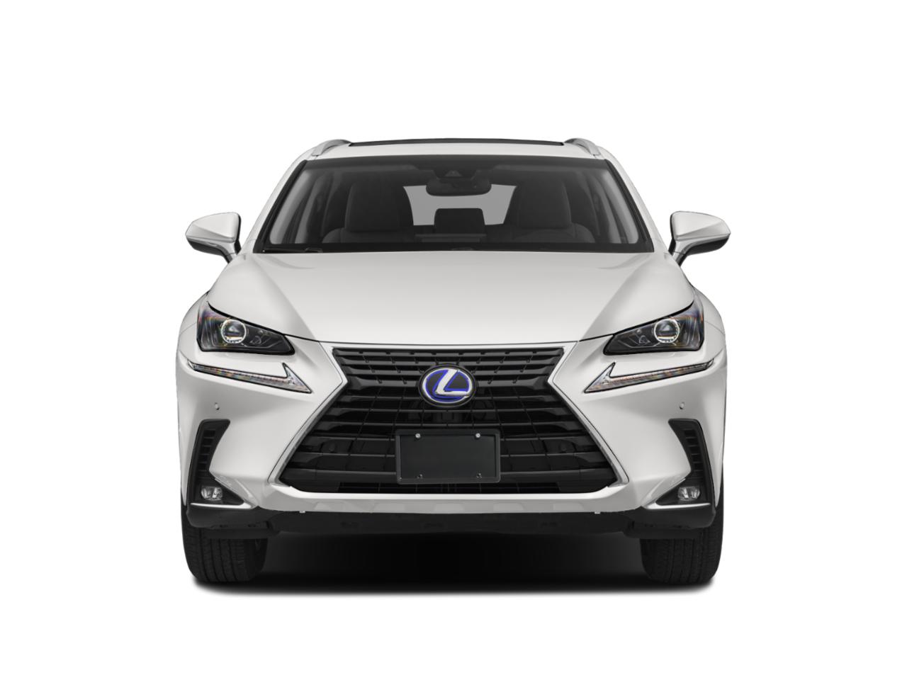 2020 Lexus NX 300h Vehicle Photo in Lees Summit, MO 64086