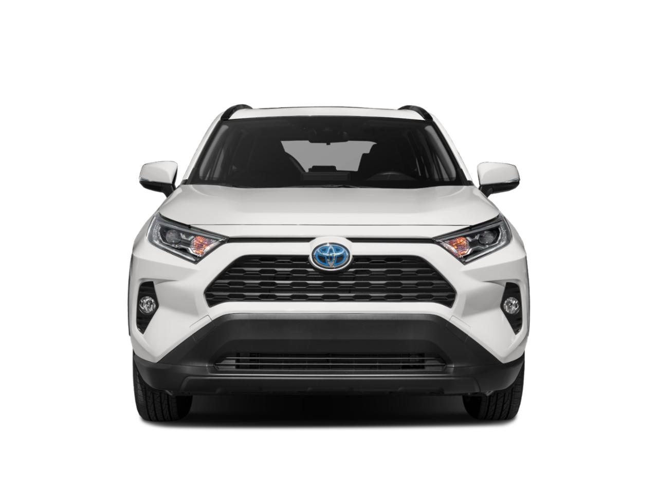 2020 Toyota RAV4 Vehicle Photo in LEOMINSTER, MA 01453-2952