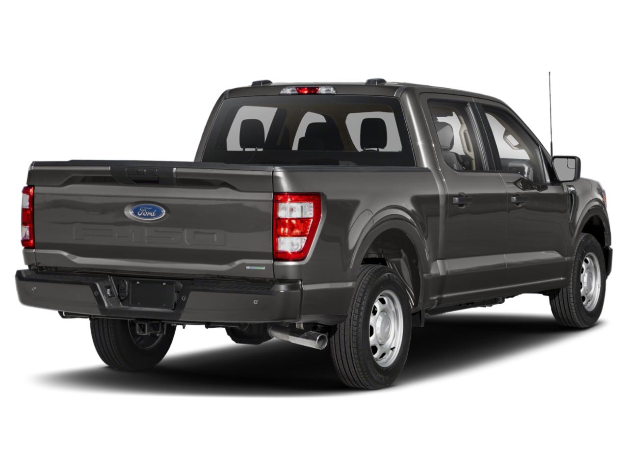 2021 Ford F-150 Vehicle Photo in SELMA, TX 78154-1459