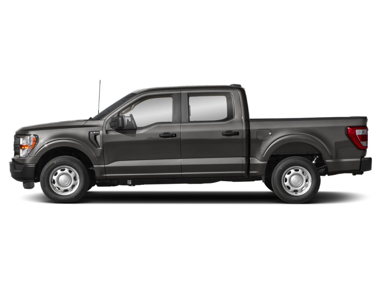 2021 Ford F-150 Vehicle Photo in SELMA, TX 78154-1459