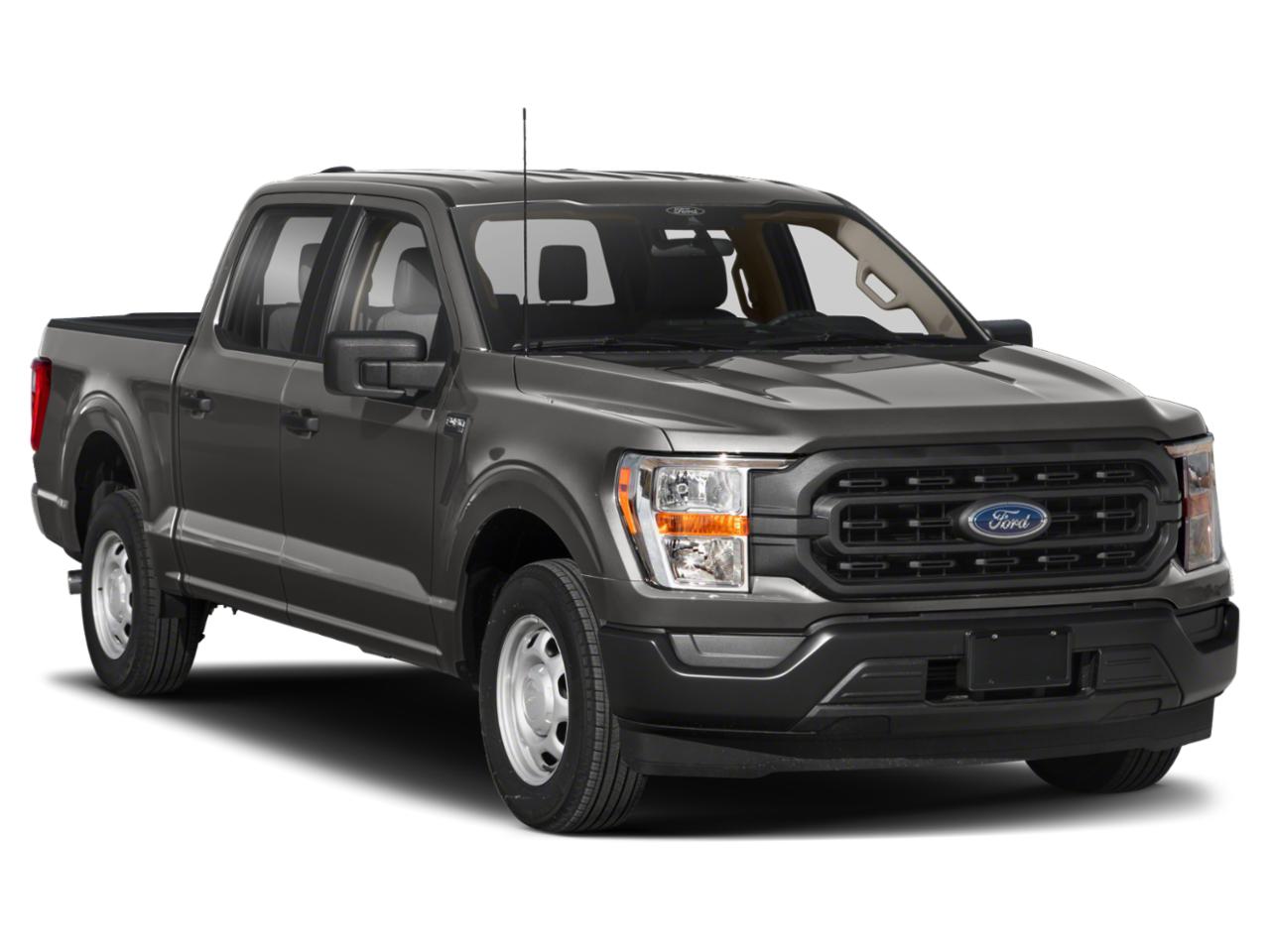 2021 Ford F-150 Vehicle Photo in SELMA, TX 78154-1459