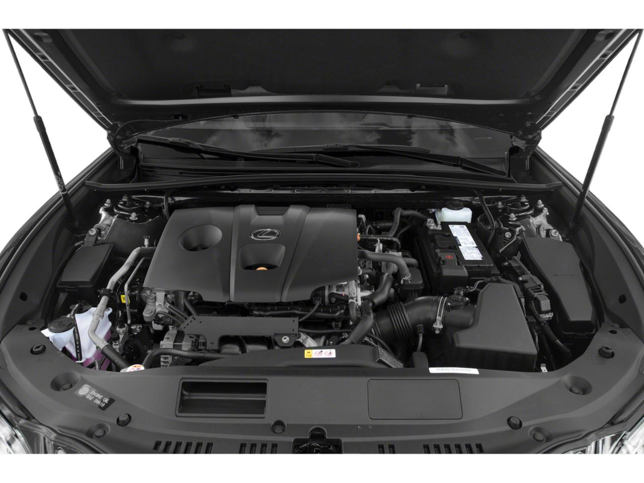 2021 Lexus ES 250 Vehicle Photo in Willow Grove, PA 19090