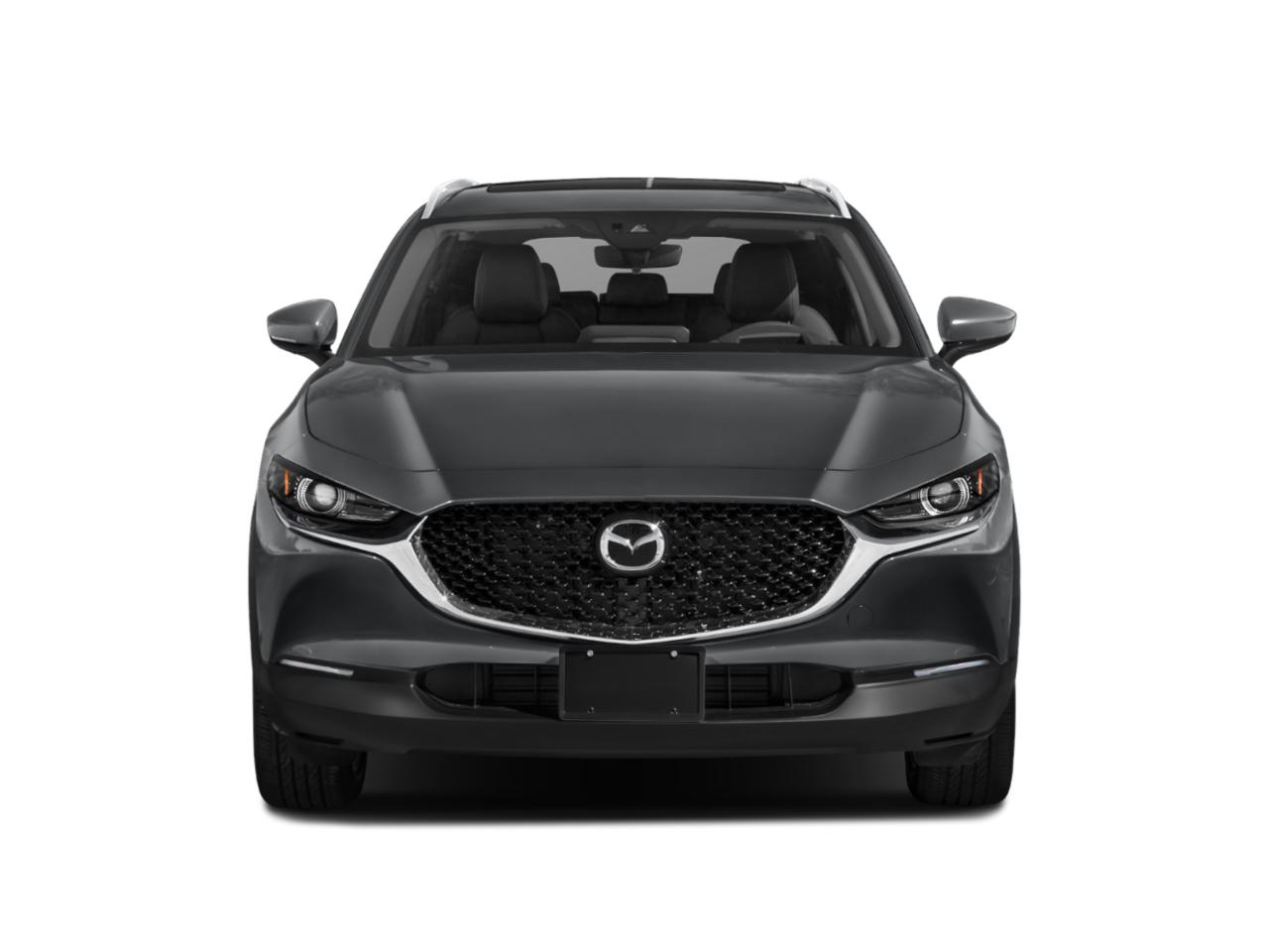 2021 Mazda CX-30 Vehicle Photo in Savannah, GA 31419