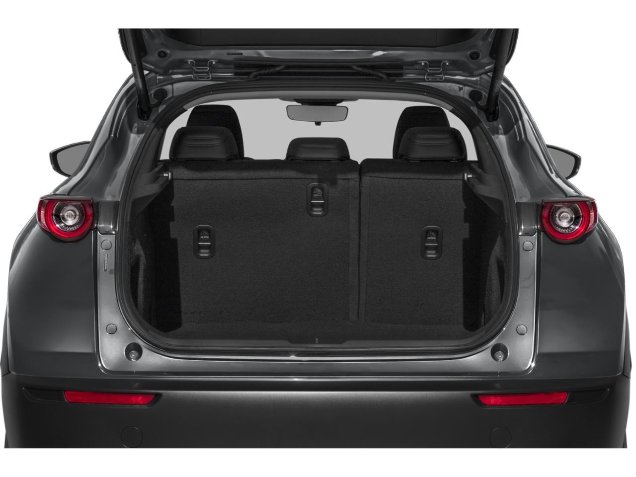 2021 Mazda CX-30 Vehicle Photo in Savannah, GA 31419