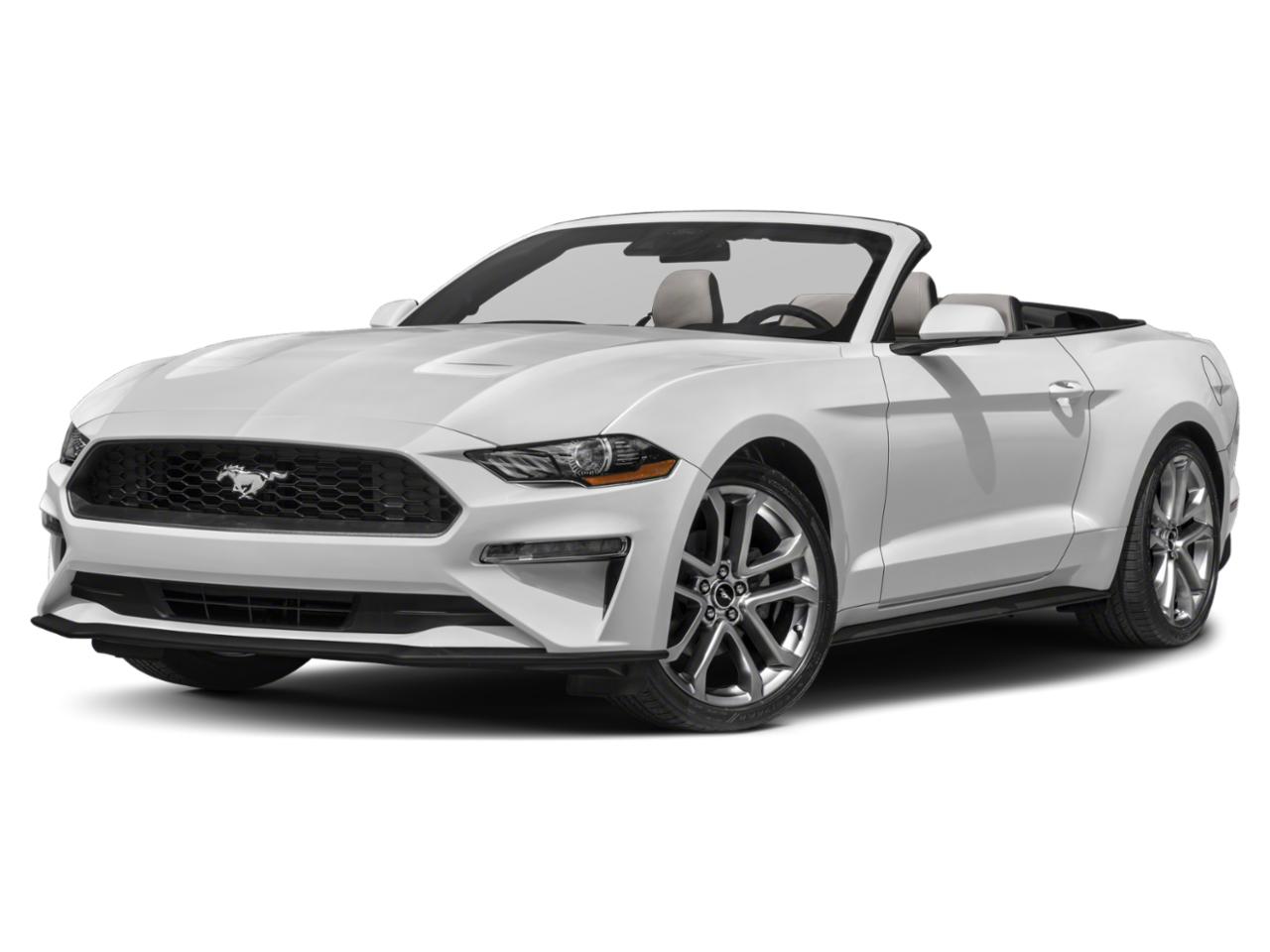 2022 Ford Mustang Vehicle Photo in BEAUFORT, SC 29906-4218
