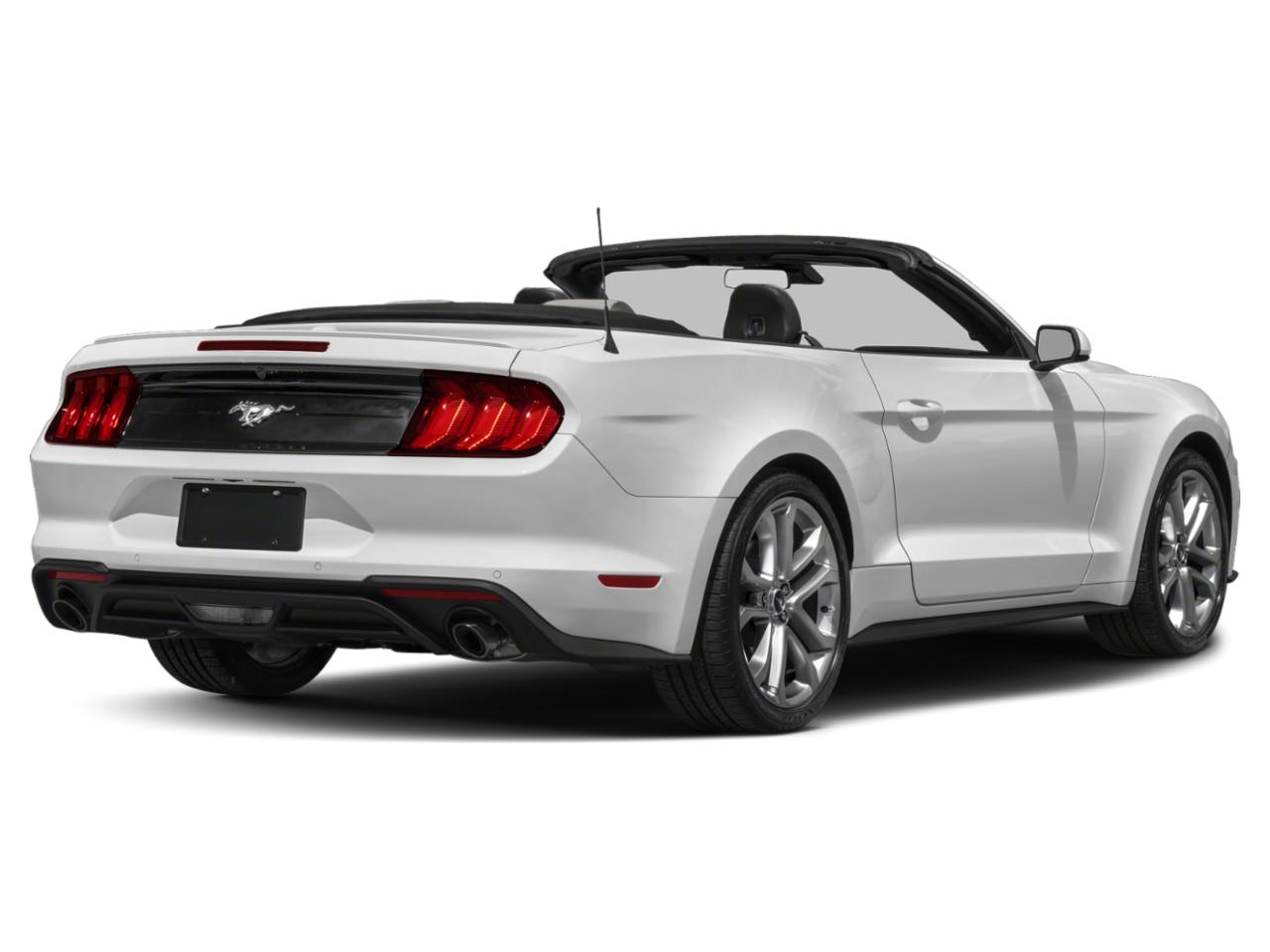 2022 Ford Mustang Vehicle Photo in BEAUFORT, SC 29906-4218
