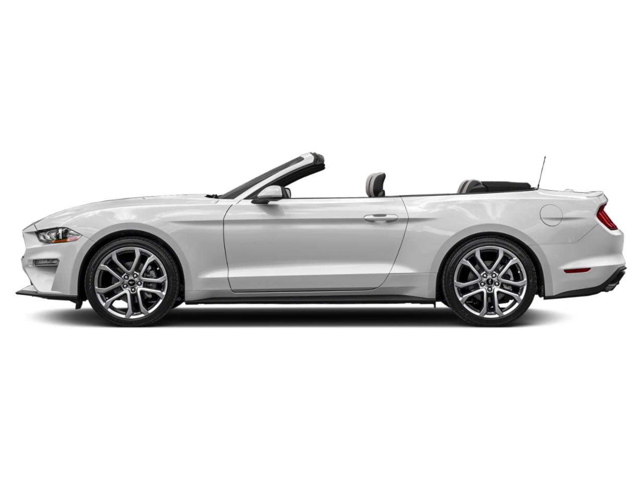 2022 Ford Mustang Vehicle Photo in BEAUFORT, SC 29906-4218