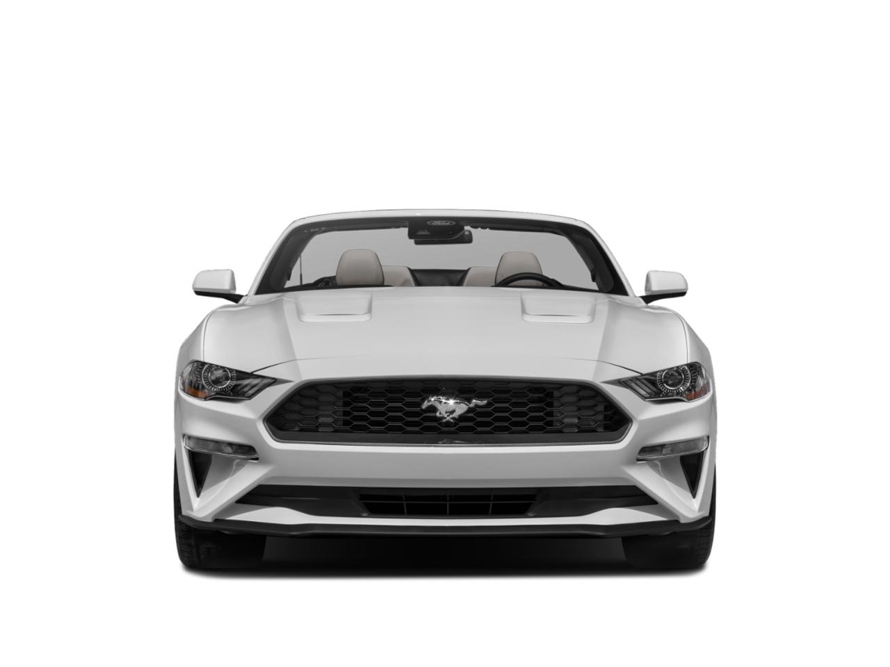 2022 Ford Mustang Vehicle Photo in BEAUFORT, SC 29906-4218